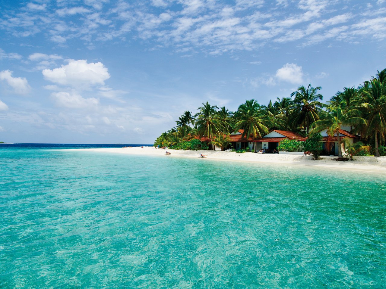 Обои пляж, пальмы, остров, тропики, мальдивы, beach, palm trees, island, tropics, the maldives разрешение 4288x2848 Загрузить