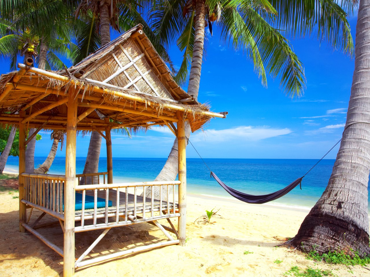 Обои море, пляж, гамак, тропики, sea, beach, hammock, tropics разрешение 3200x2127 Загрузить