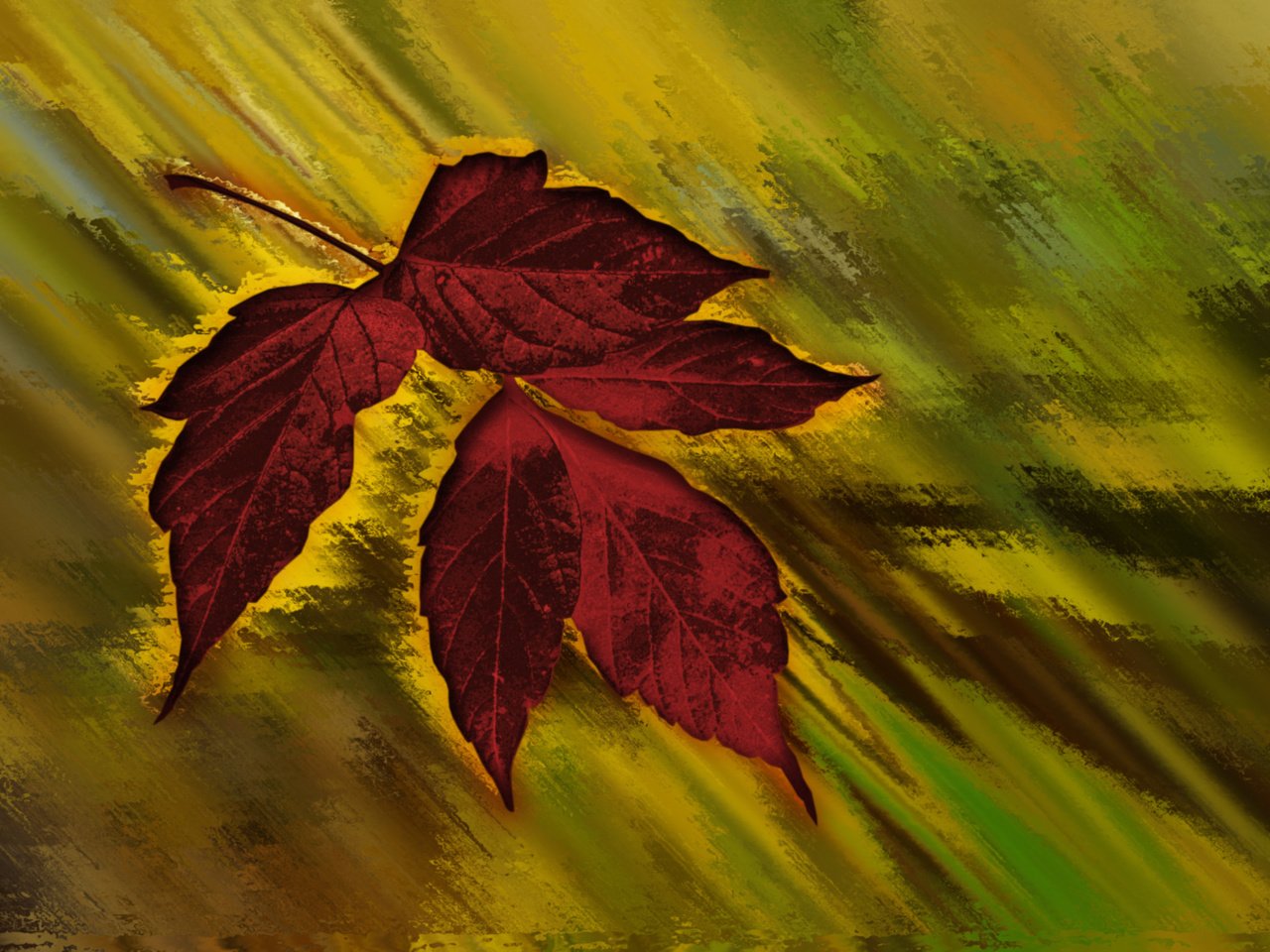 Обои кленовый лист, осенний цвет, maple leaf, autumn color разрешение 2560x1600 Загрузить
