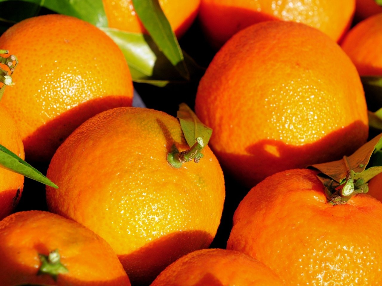Обои фрукты, листики, мандарины, цитрусы, fruit, leaves, tangerines, citrus разрешение 1920x1200 Загрузить