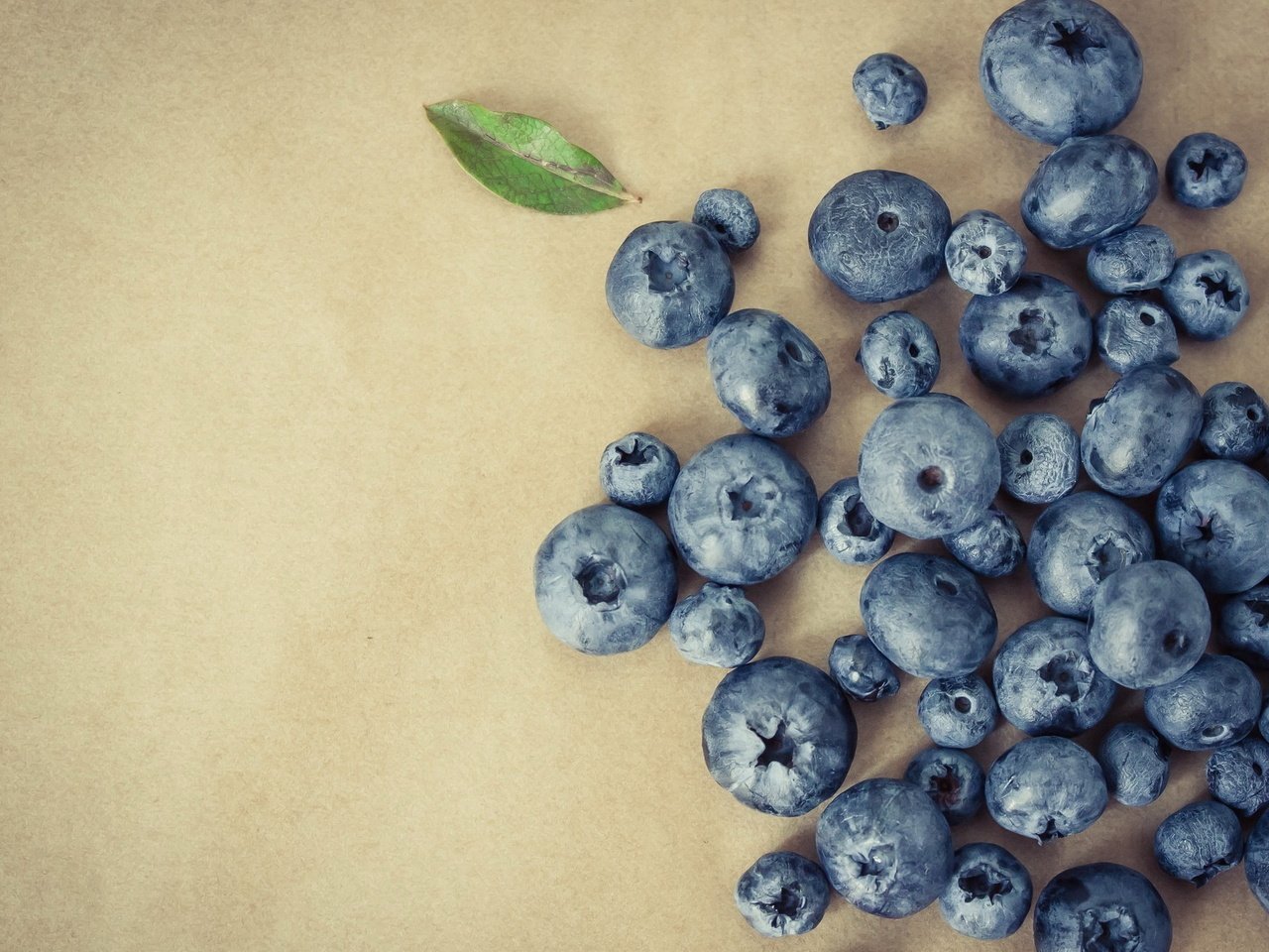 Обои фон, ягода, листик, черника, голубика, background, berry, leaf, blueberries разрешение 2048x1332 Загрузить