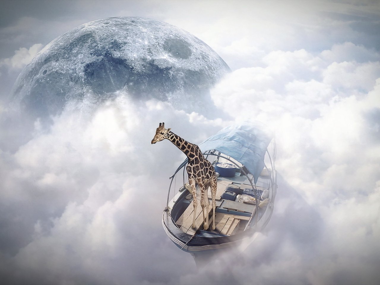 Обои жираф, photomanipulation, finearts, небо моряк, giraffe, sky sailor разрешение 1920x1200 Загрузить