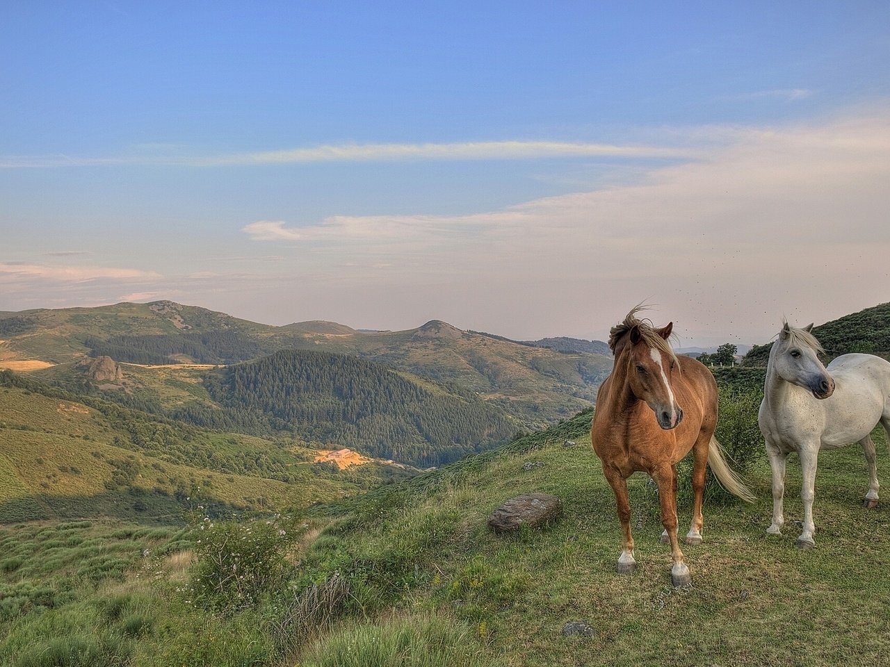 Обои небо, горы, пейзаж, лошади, кони, the sky, mountains, landscape, horse, horses разрешение 1920x1200 Загрузить