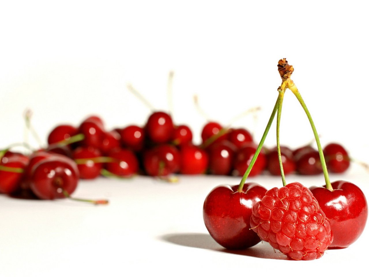 Обои малина, ягоды, белый фон, вишня, raspberry, berries, white background, cherry разрешение 1920x1200 Загрузить