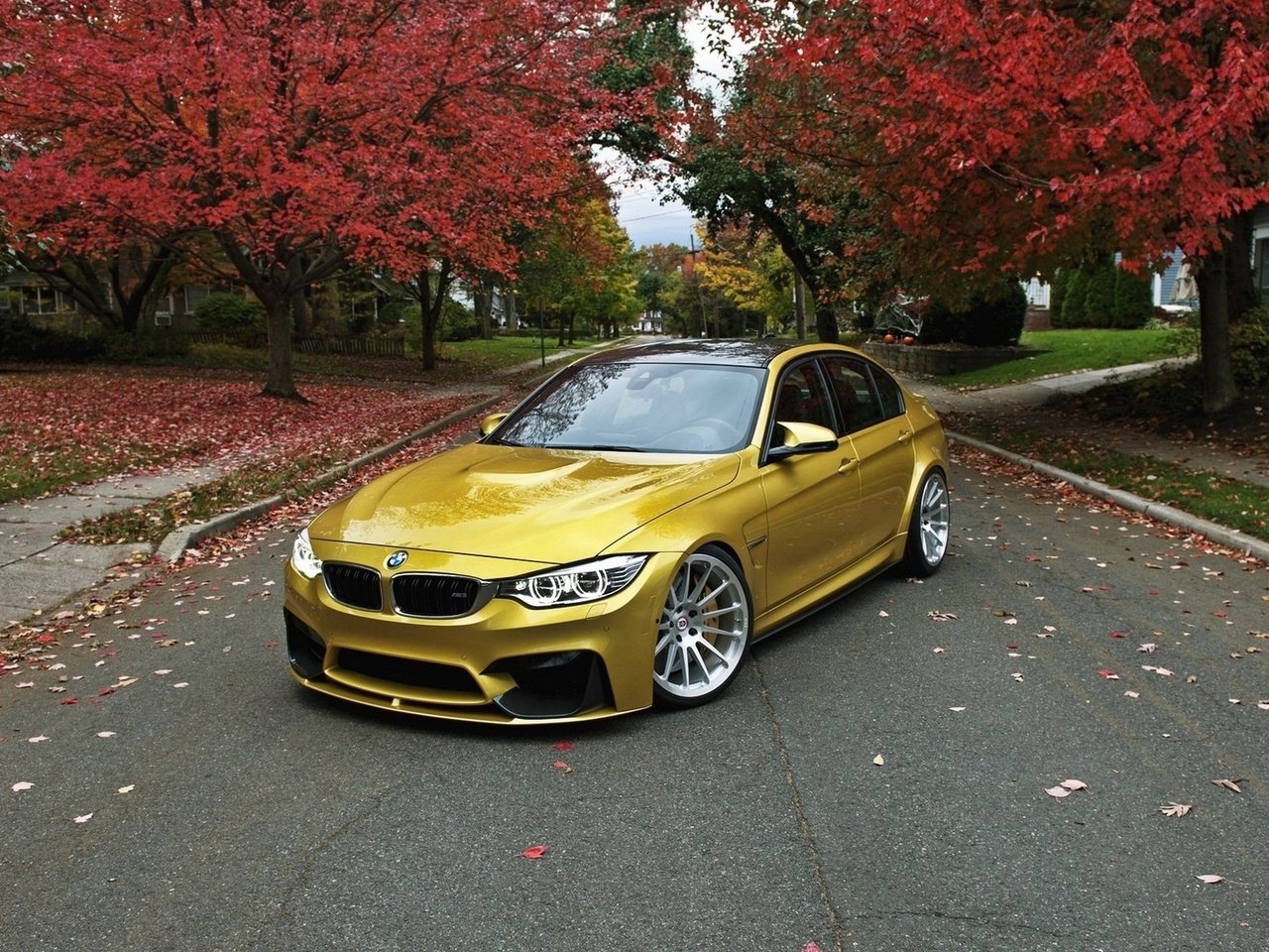 Обои дорога, деревья, авто, автомобиль, бмв, опавшие листья, road, trees, auto, car, bmw, fallen leaves разрешение 2560x1600 Загрузить