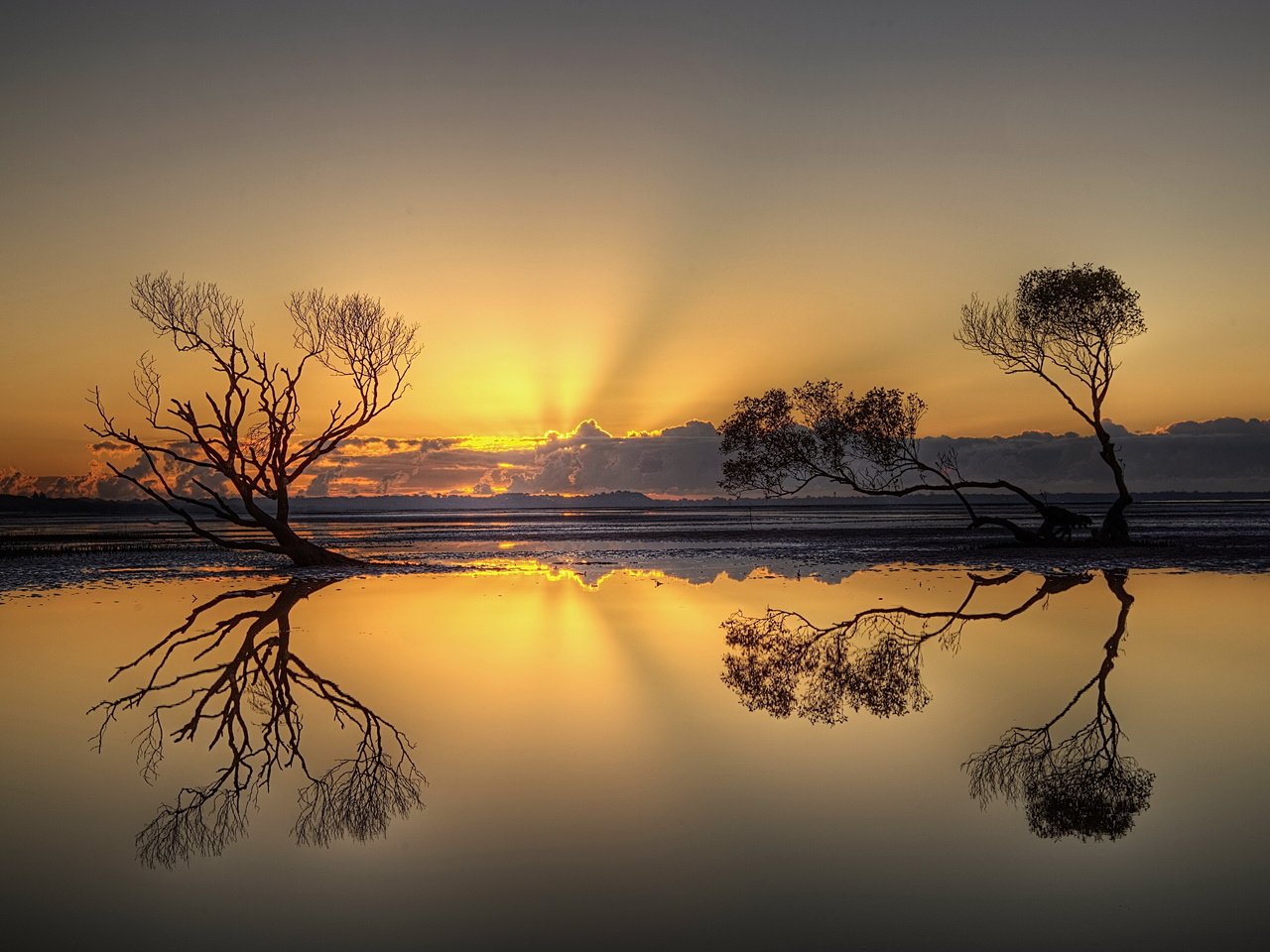 Обои деревья, вечер, озеро, природа, закат, отражение, trees, the evening, lake, nature, sunset, reflection разрешение 5592x3700 Загрузить