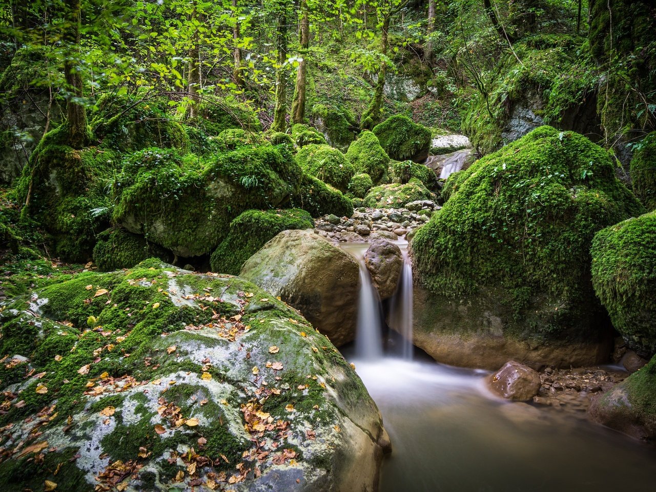 Обои вода, камни, зелень, лес, мох, water, stones, greens, forest, moss разрешение 2048x1365 Загрузить