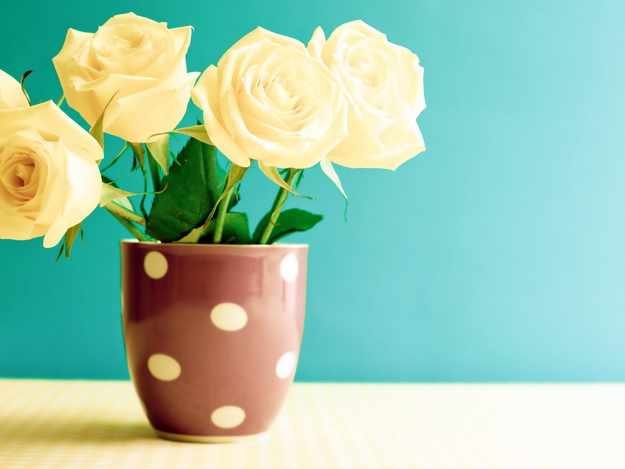 Обои цветы, розы, лепестки, кружка, букет, чашка, flowers, roses, petals, mug, bouquet, cup разрешение 3000x2245 Загрузить