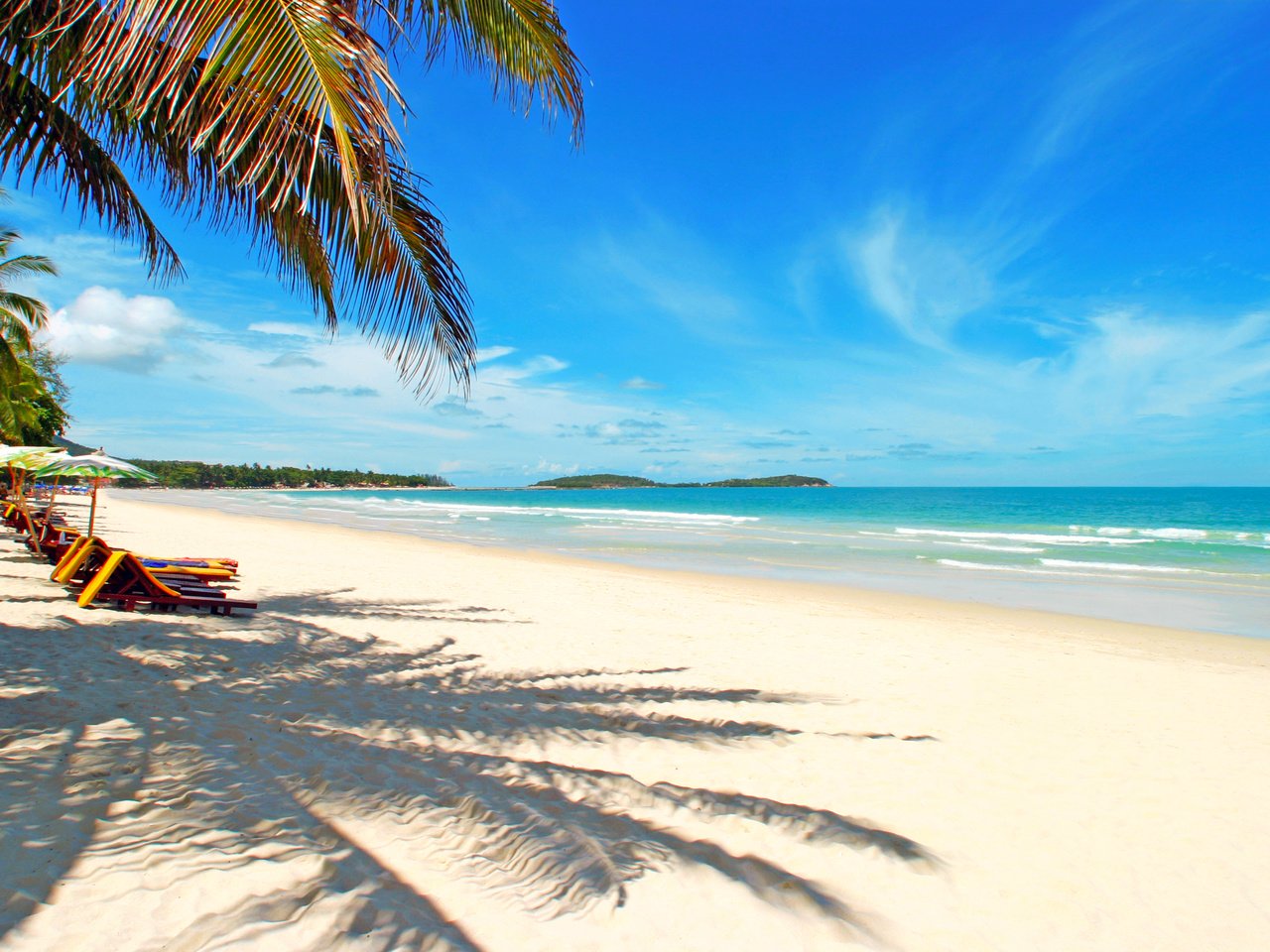 Обои море, пляж, пальмы, отдых, тропики, sea, beach, palm trees, stay, tropics разрешение 3059x2035 Загрузить