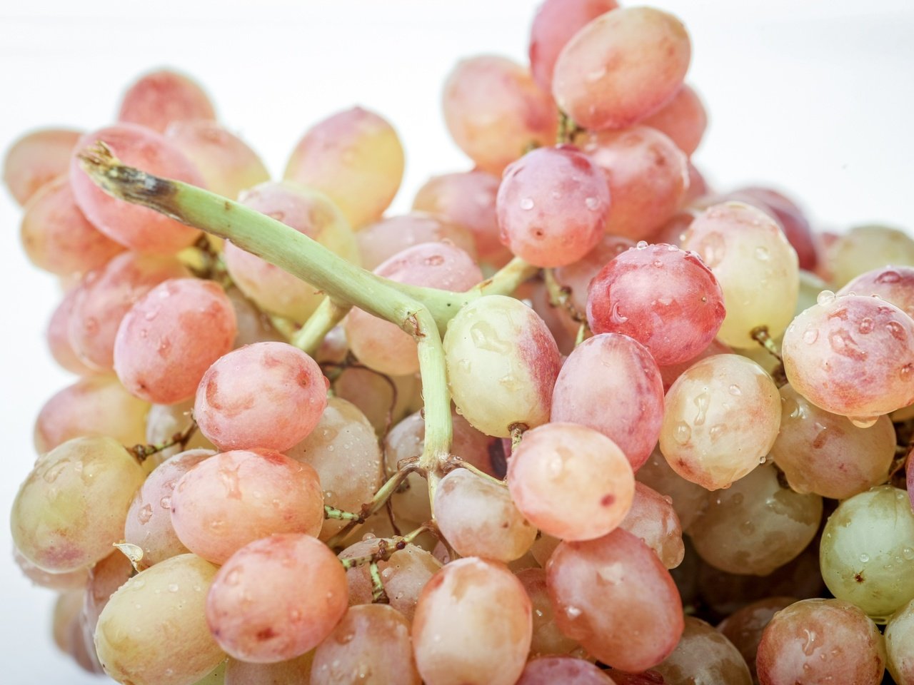 Обои макро, виноград, капли, ягоды, гроздь, macro, grapes, drops, berries, bunch разрешение 3000x2000 Загрузить