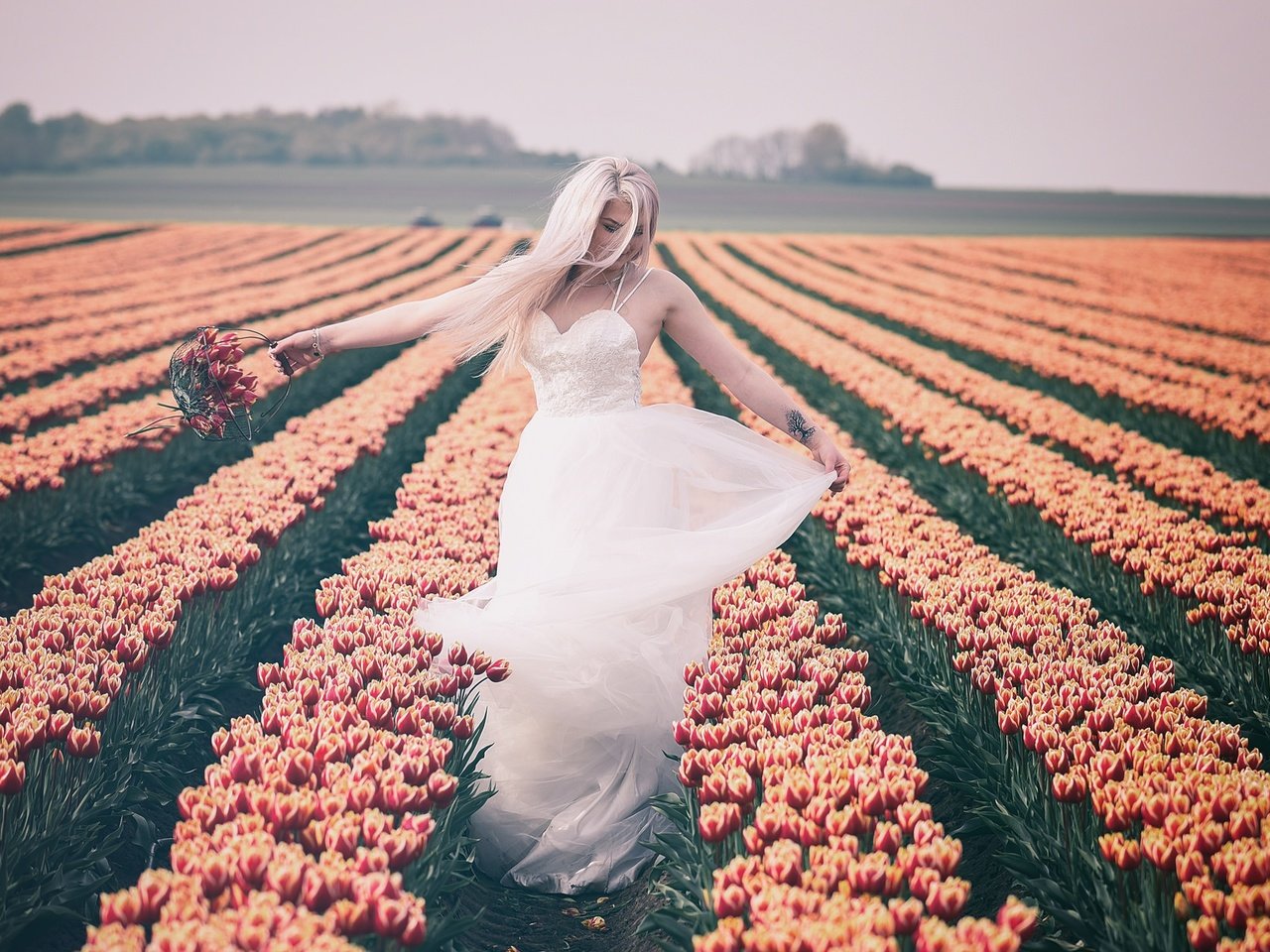 Обои цветы, природа, девушка, настроение, блондинка, поле, тюльпаны, белое платье, flowers, nature, girl, mood, blonde, field, tulips, white dress разрешение 2048x1240 Загрузить