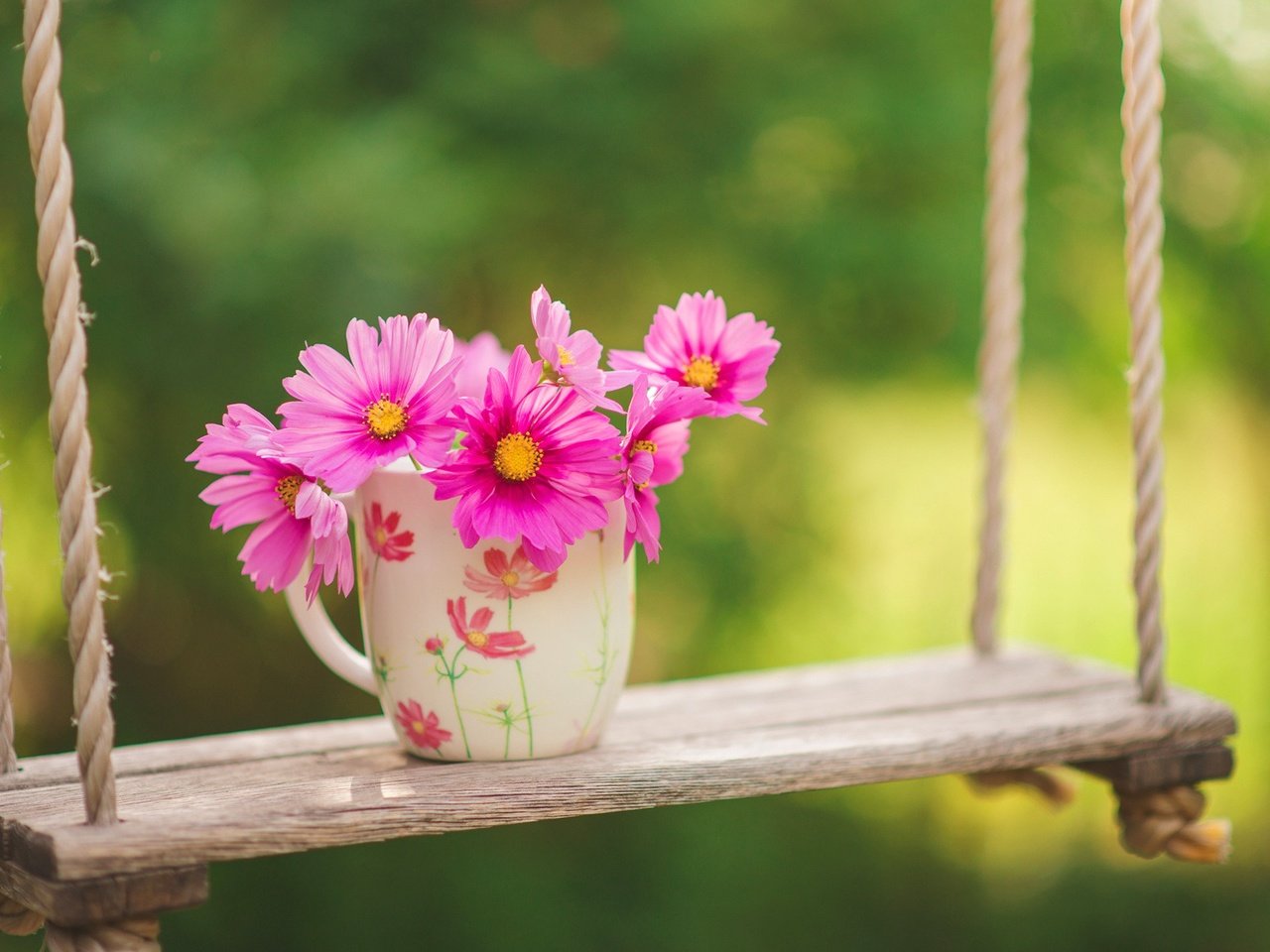 Обои цветы, природа, фон, розовые, чашка, качели, космея, flowers, nature, background, pink, cup, swing, kosmeya разрешение 2000x1335 Загрузить