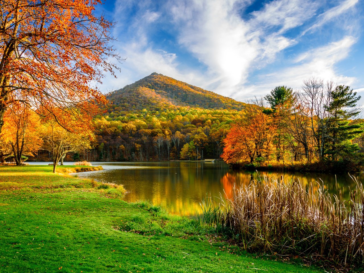 Обои трава, деревья, озеро, гора, осень, grass, trees, lake, mountain, autumn разрешение 3000x1991 Загрузить