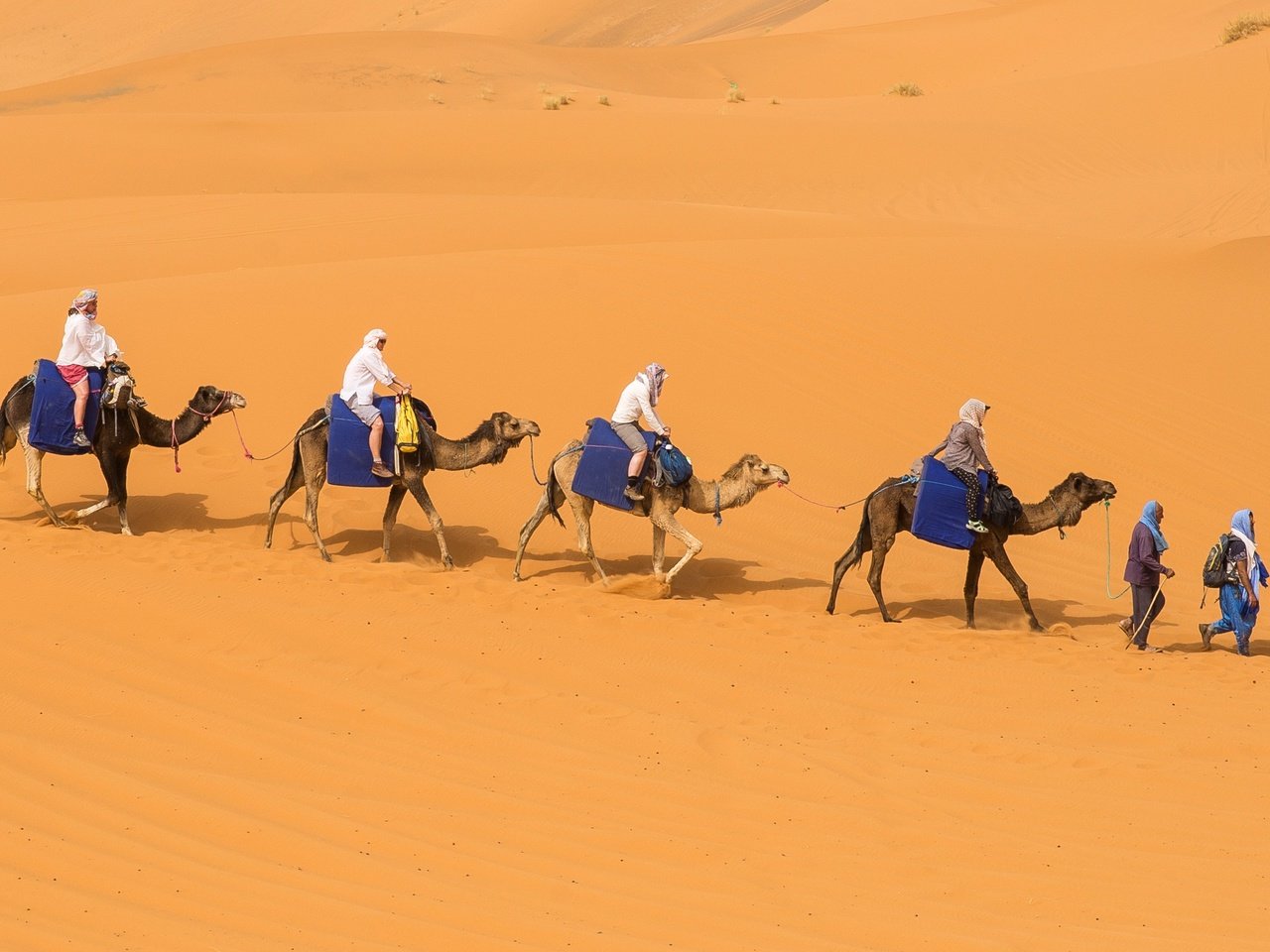 Обои песок, люди, пустыня, бархан, караван, верблюды, sand, people, desert, barkhan, caravan, camels разрешение 2880x1633 Загрузить