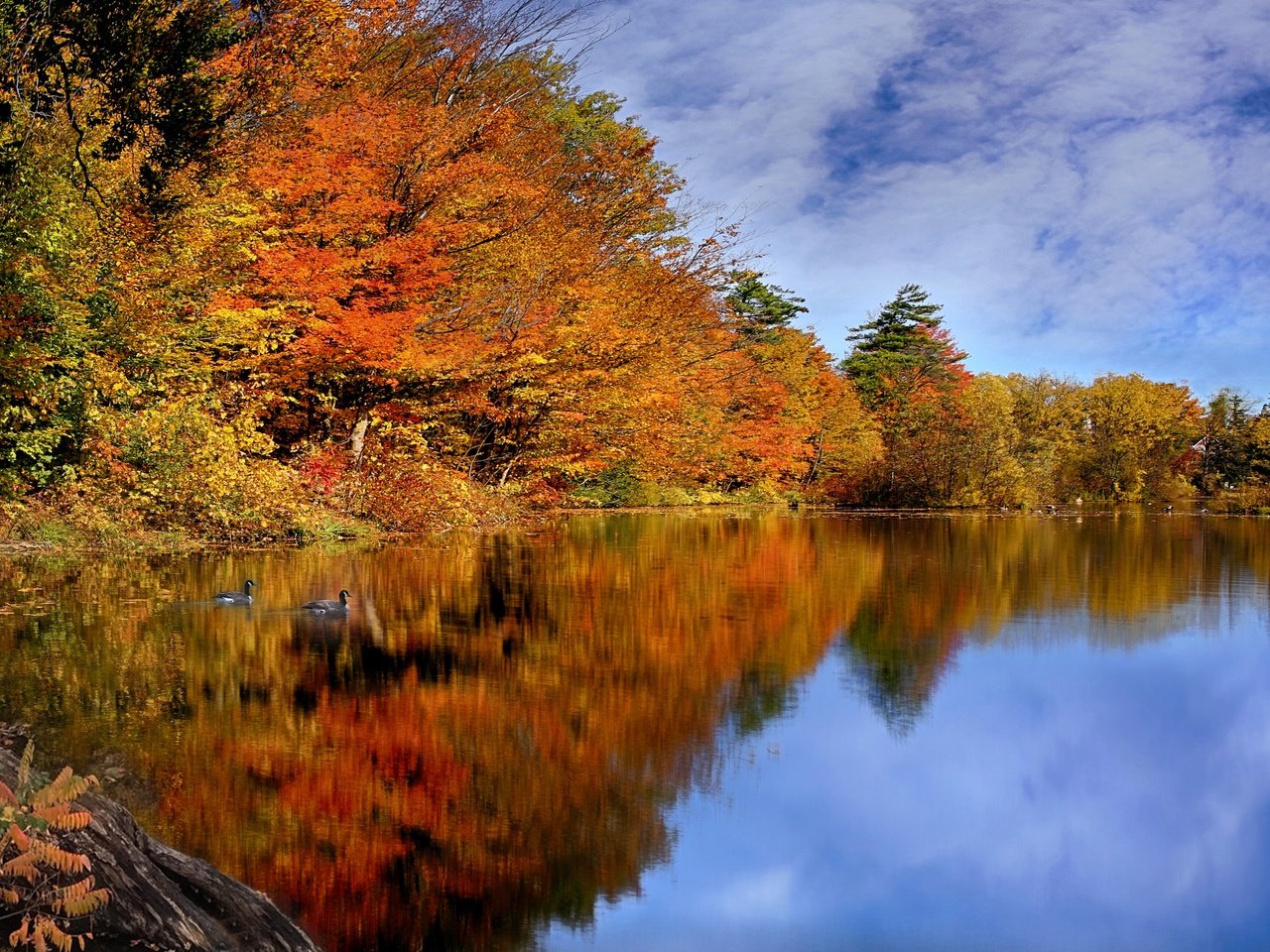 Обои небо, река, осень, канада, the sky, river, autumn, canada разрешение 3071x2048 Загрузить