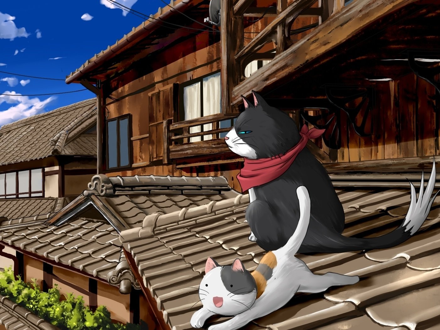 Скачать обои коты, крыша, nyan koi, cats, roof разрешение 14