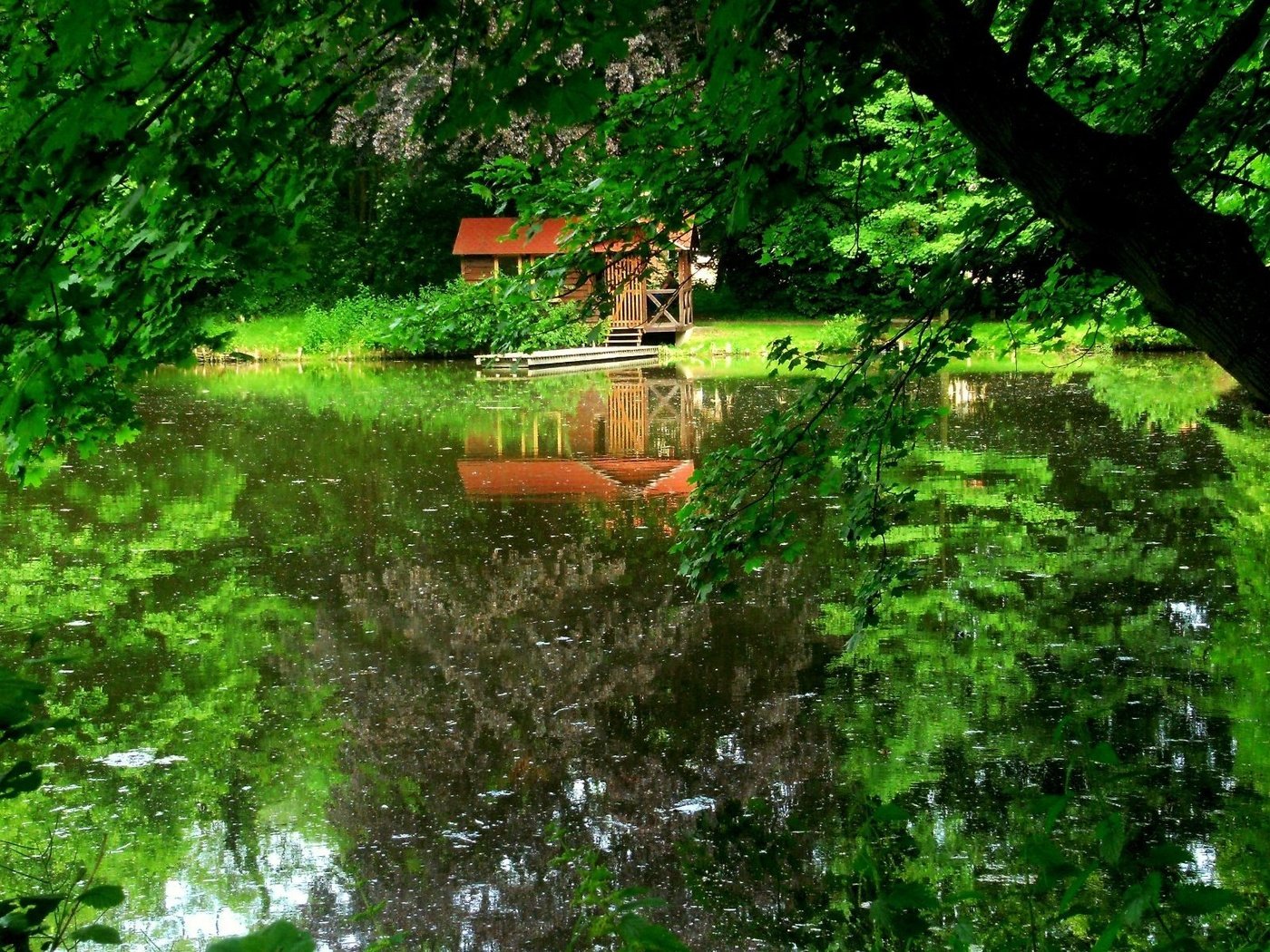 Обои деревья, озеро, dock, trees, lake разрешение 1920x1200 Загрузить