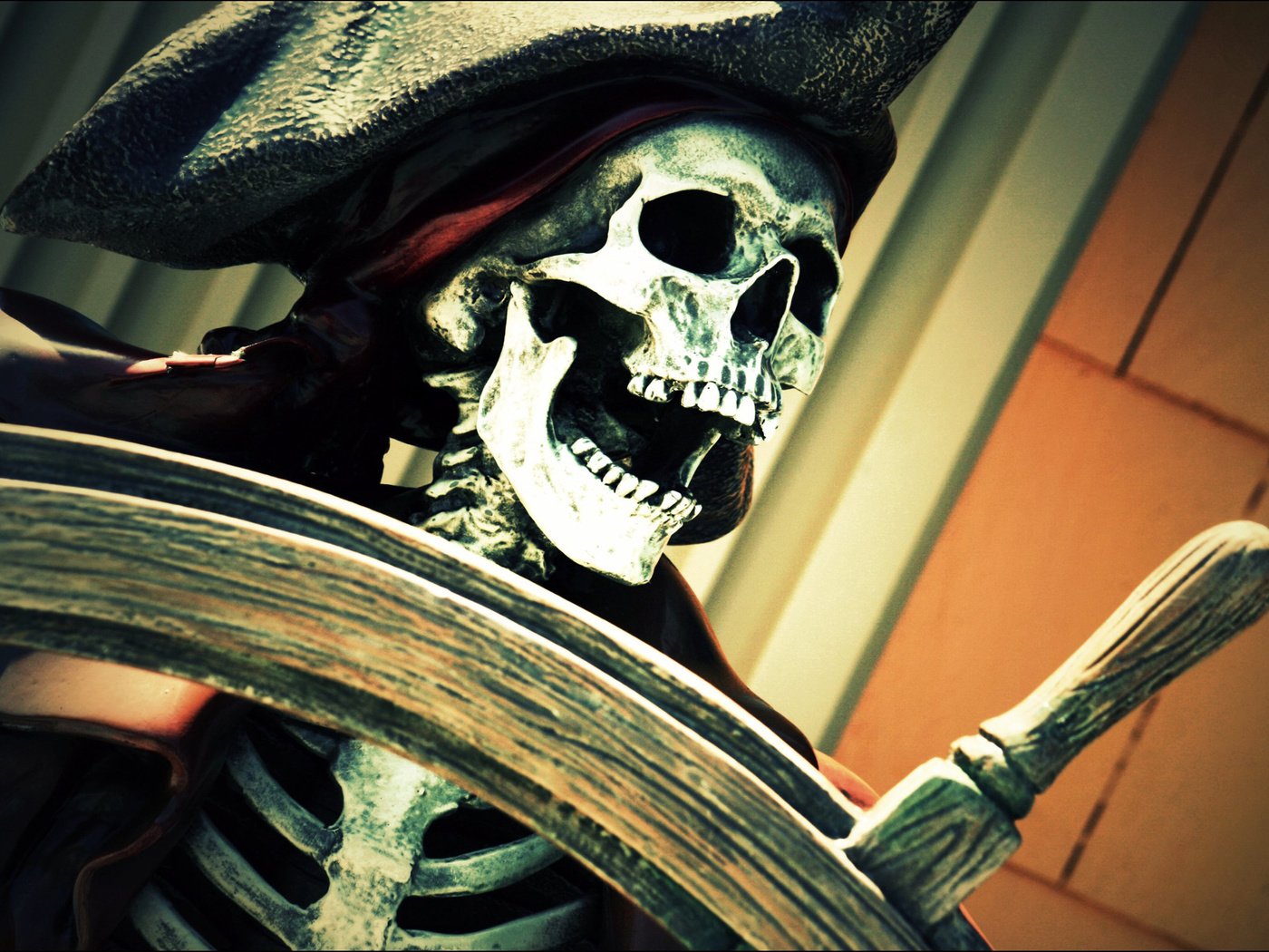 Обои шляпа, скелет, пират, штурвал, челюсть, hat, skeleton, pirate, the wheel, jaw разрешение 2560x1600 Загрузить
