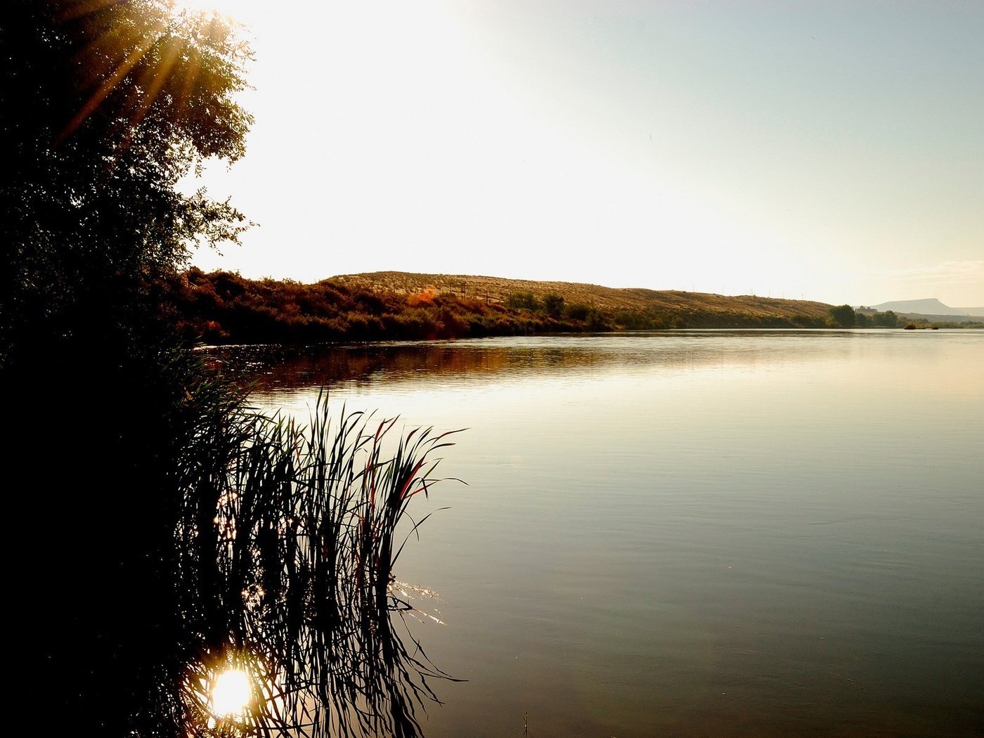 Обои озеро, холмы, дерево, лучи солнца, куст, lake, hills, tree, the rays of the sun, bush разрешение 1920x1200 Загрузить