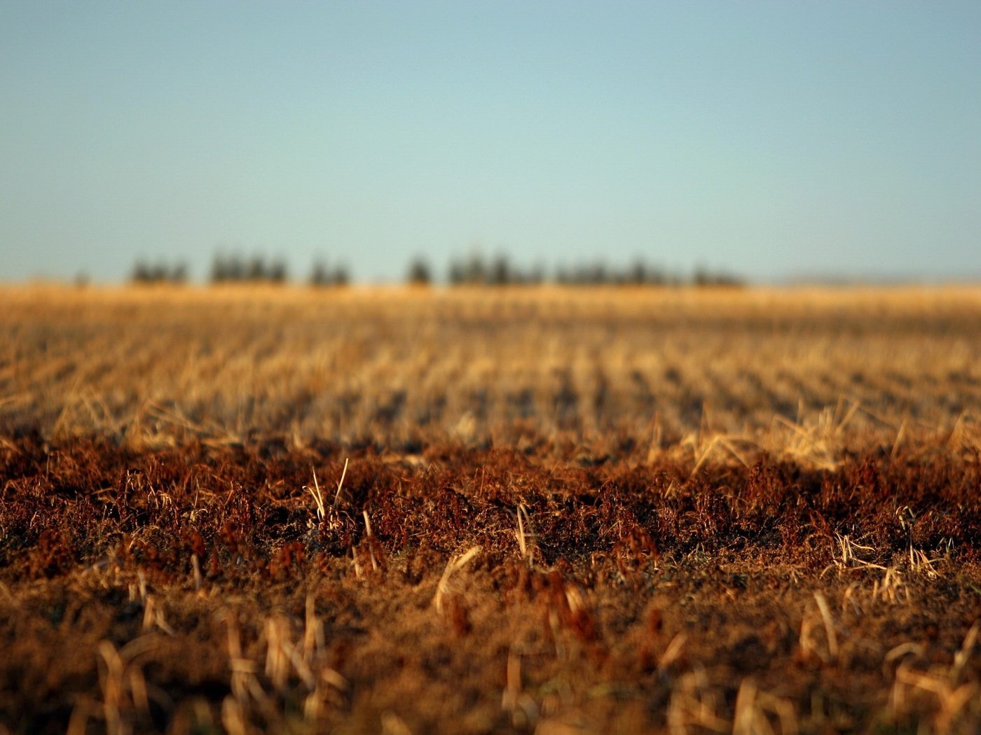 Обои земля, поле, осень, earth, field, autumn разрешение 1920x1440 Загрузить