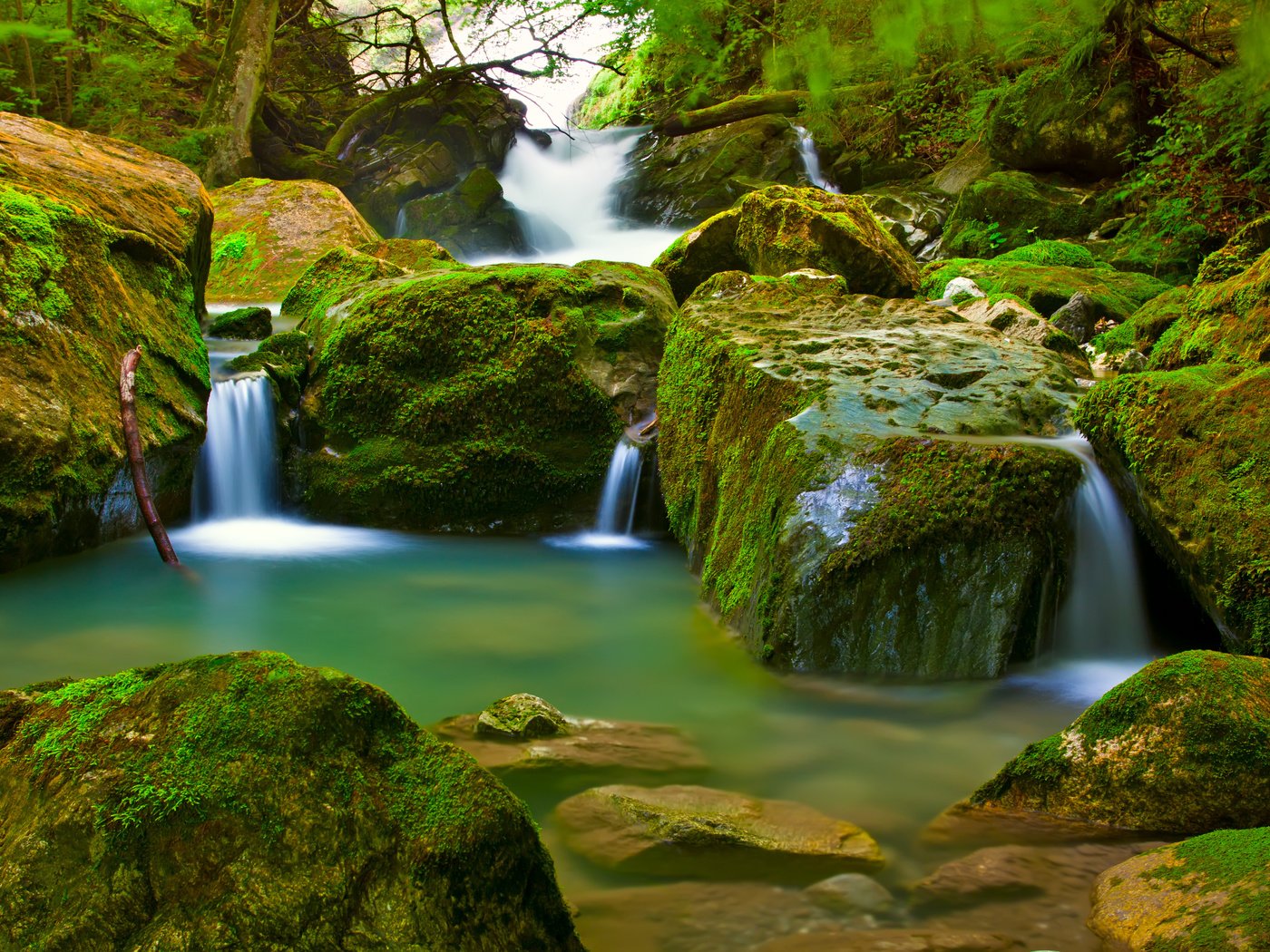 Обои лес, водопад, мох, forest, waterfall, moss разрешение 4752x3168 Загрузить