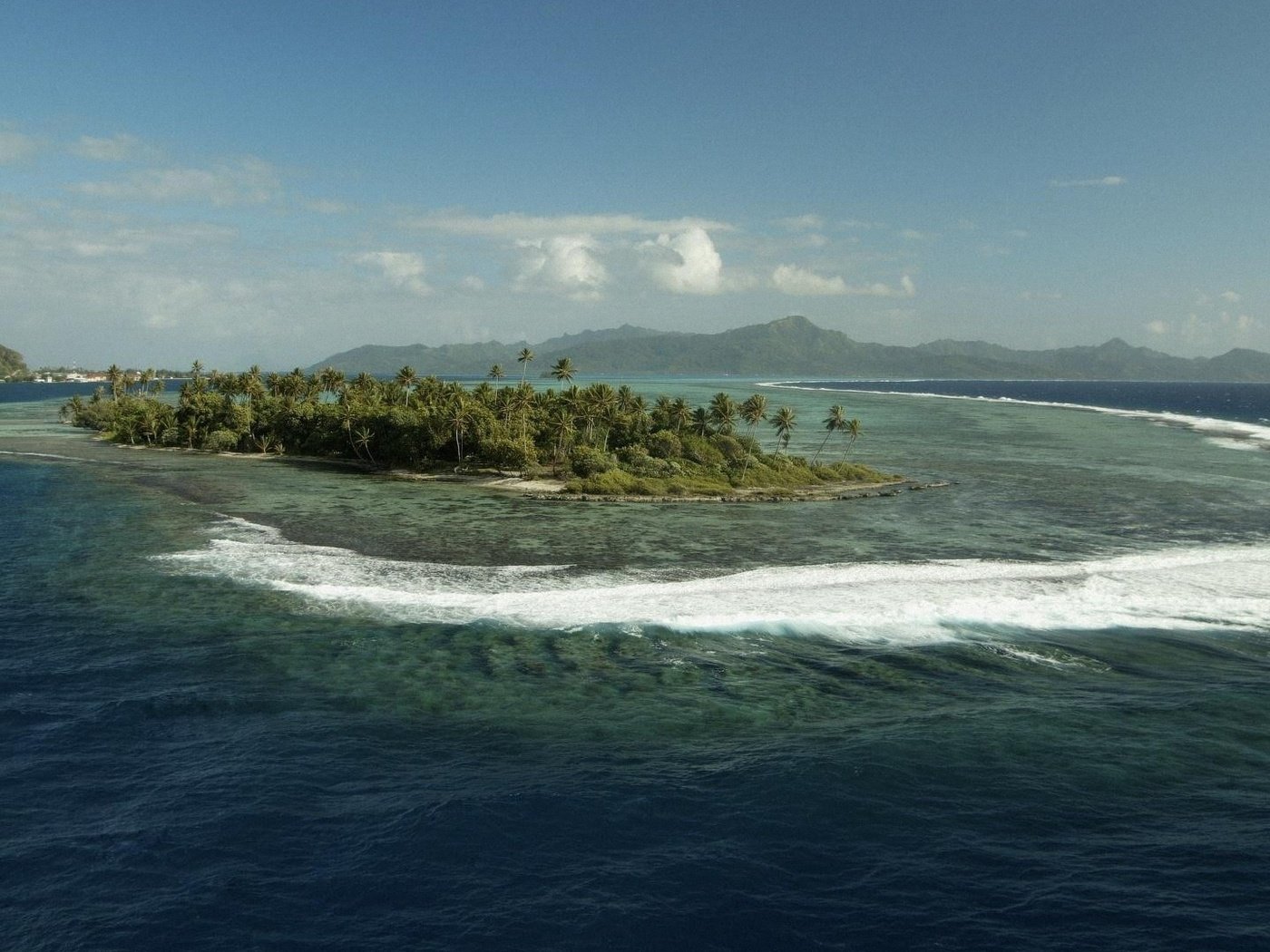 Обои море, пальмы, океан, остров, sea, palm trees, the ocean, island разрешение 1920x1080 Загрузить