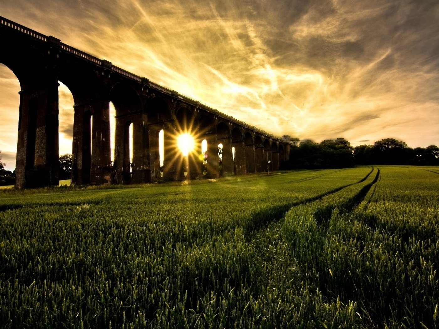Обои трава, солнце, мост, красиво, grass, the sun, bridge, beautiful разрешение 1920x1200 Загрузить
