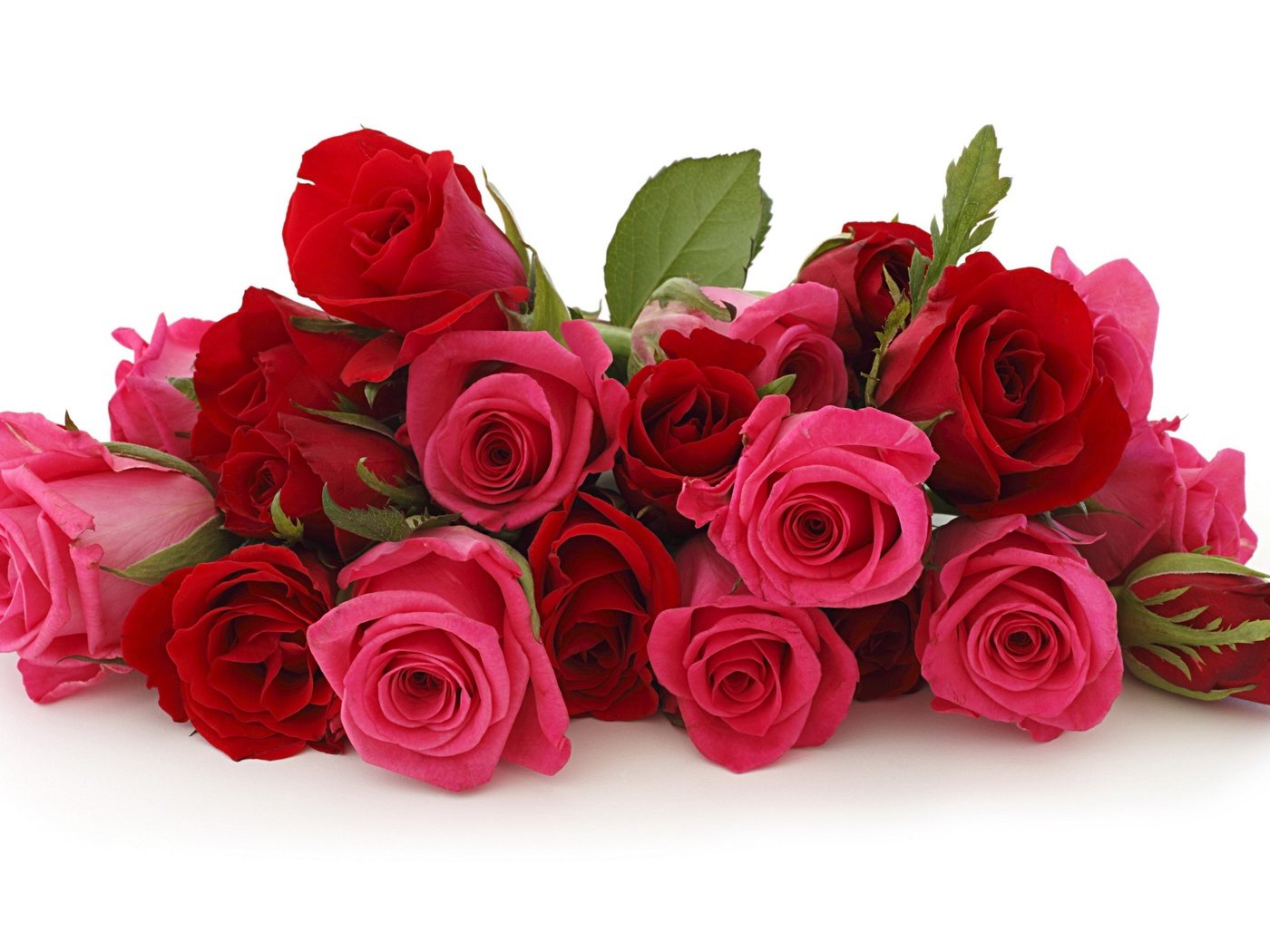 Обои цветы, розы, букет, подарок, flowers, roses, bouquet, gift разрешение 3456x2070 Загрузить