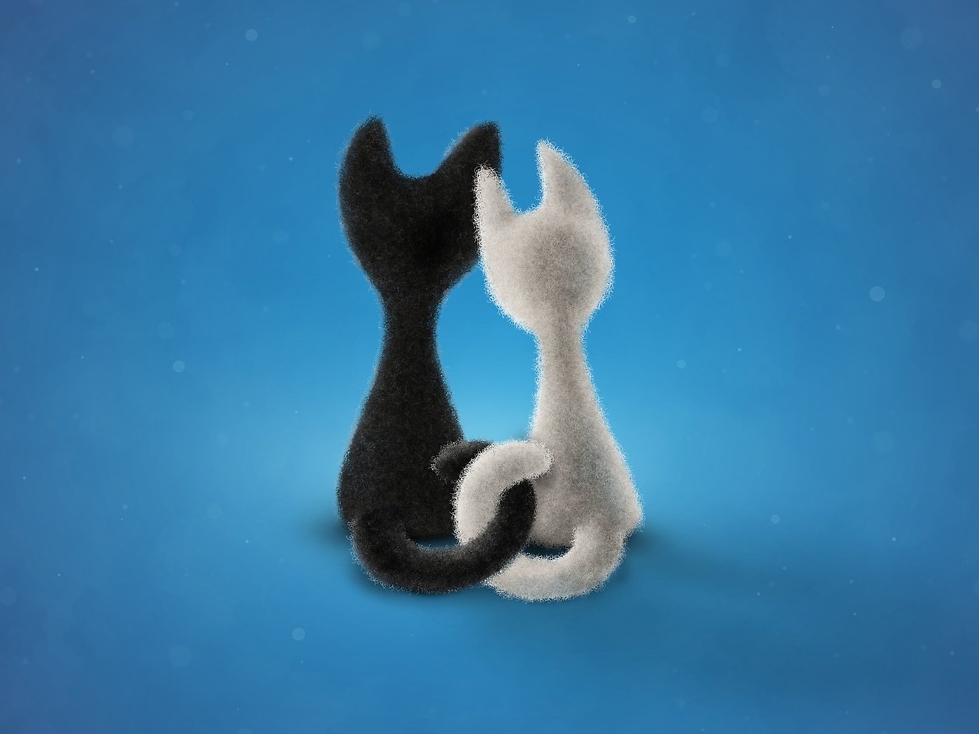 Обои фон, черный, белый, коты, котята сплелись хвостами, background, black, white, cats, kittens entwined tails разрешение 2560x1440 Загрузить