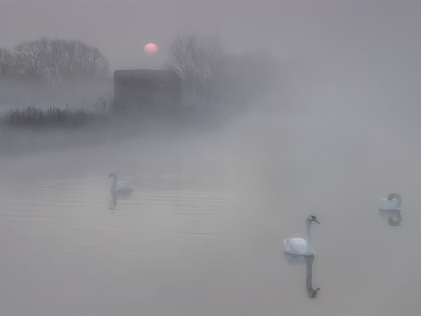 Обои озеро, природа, утро, туман, птицы, лебеди, lake, nature, morning, fog, birds, swans разрешение 2002x1124 Загрузить
