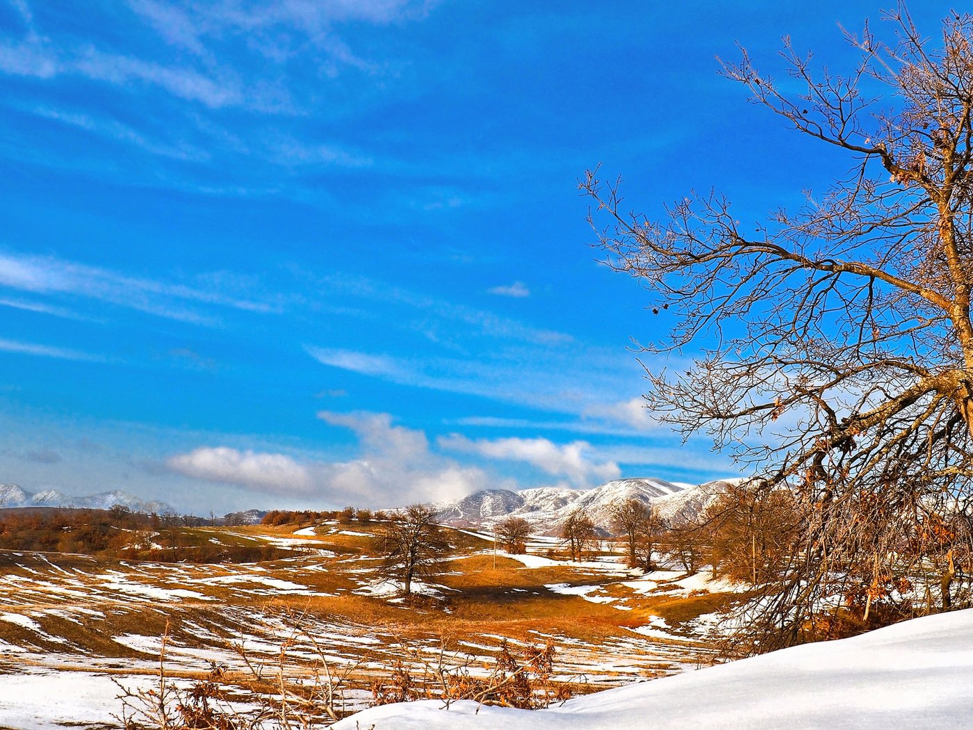 Обои небо, деревья, горы, снег, долина, the sky, trees, mountains, snow, valley разрешение 2048x1152 Загрузить