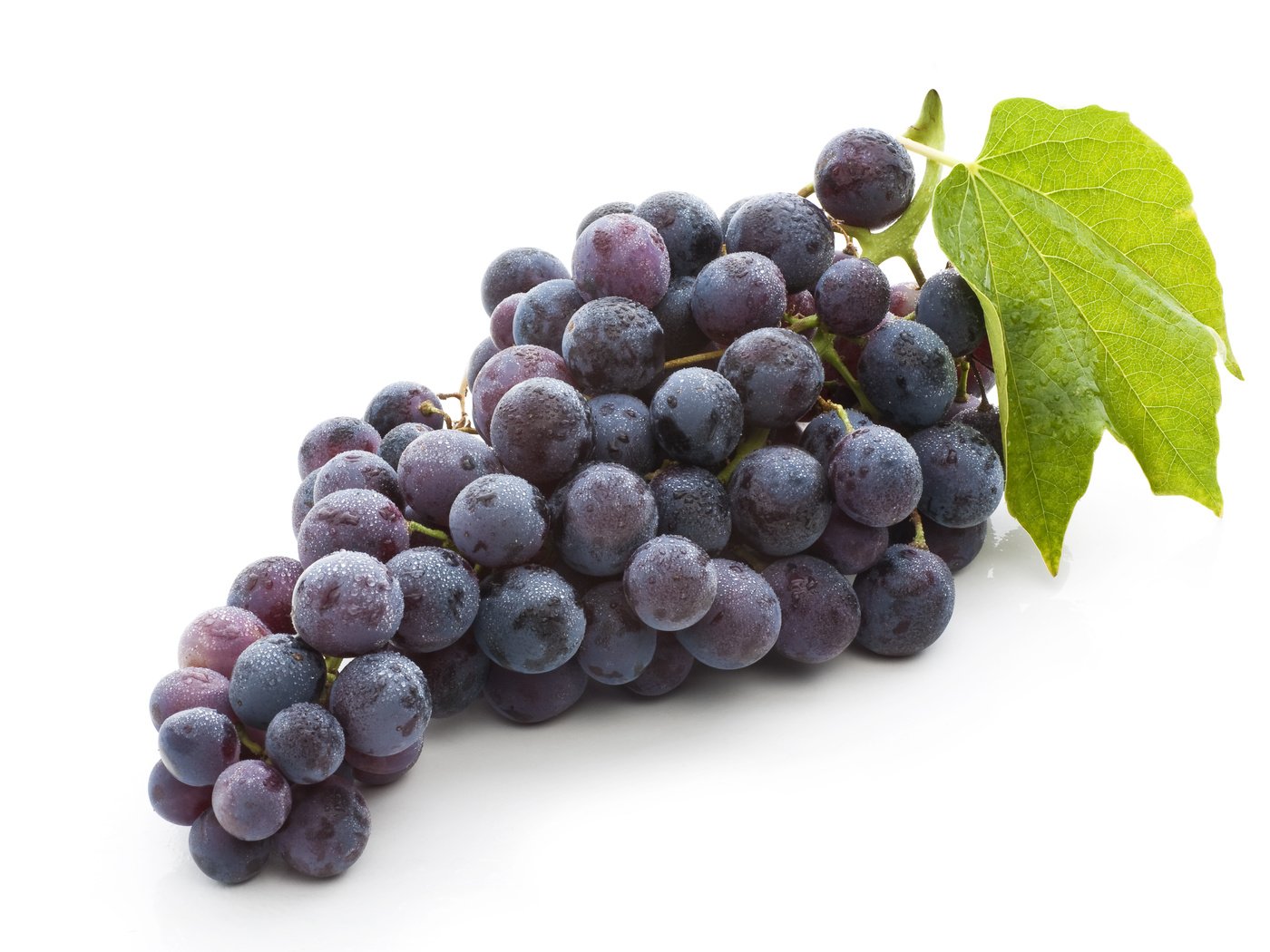 Картинка гроздь винограда