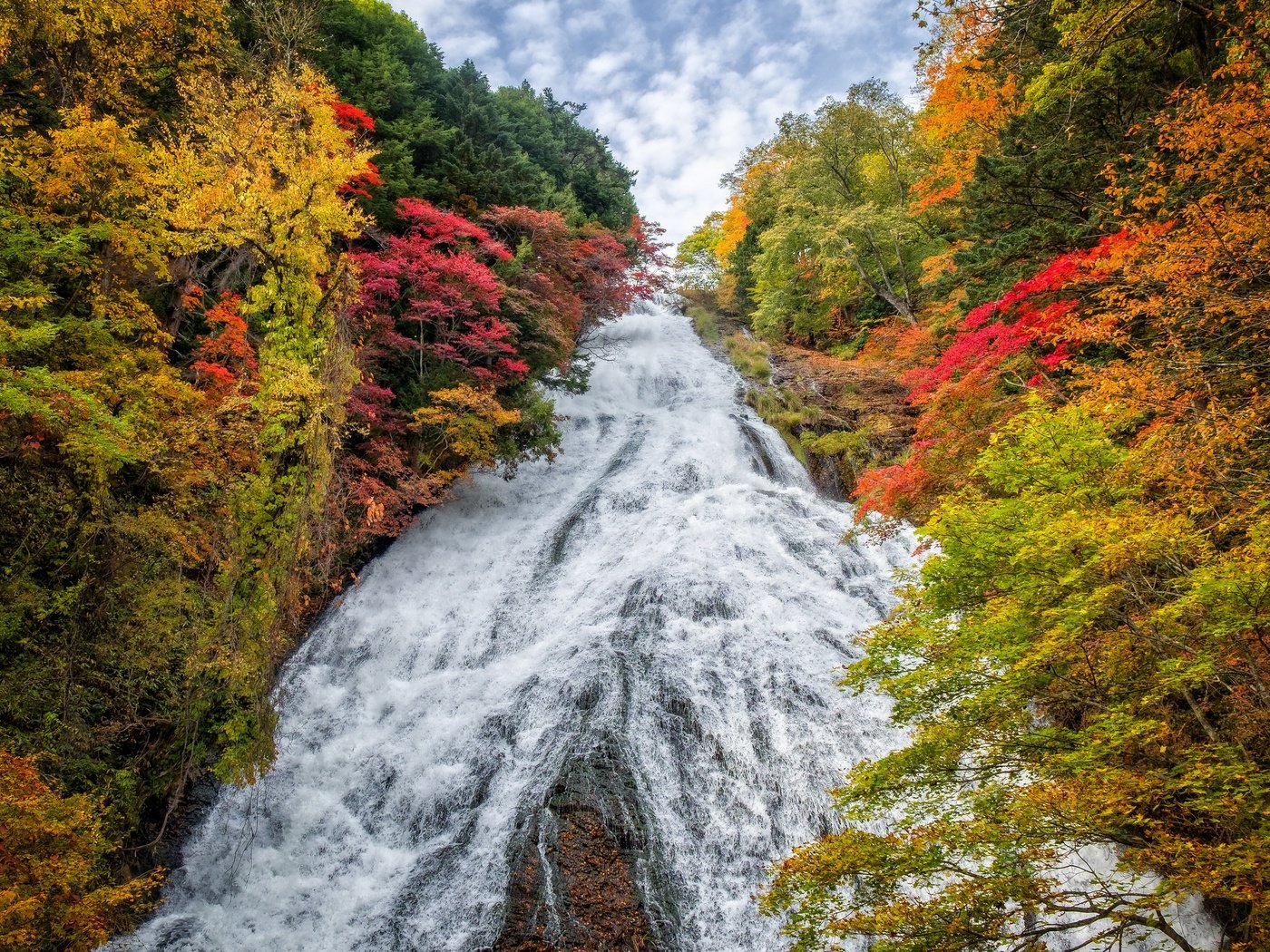 Обои деревья, пейзаж, водопад, осень, япония, yudaki waterfall, trees, landscape, waterfall, autumn, japan разрешение 2880x1920 Загрузить