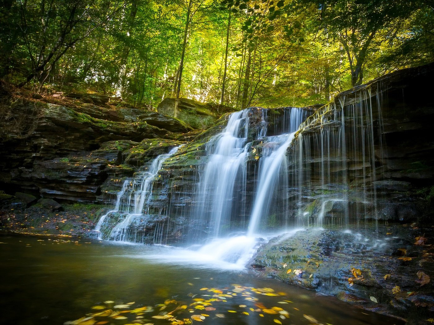 Обои лес, водопад, осень, пенсильвания, каскад, forest, waterfall, autumn, pa, cascade разрешение 2560x1920 Загрузить