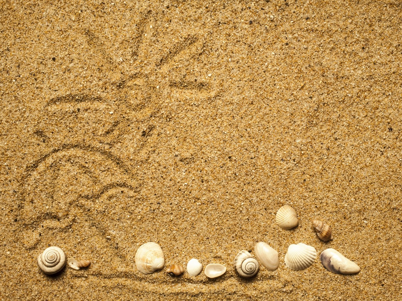 Обои рисунок, солнце, текстура, песок, пляж, ракушки, figure, the sun, texture, sand, beach, shell разрешение 4937x3552 Загрузить