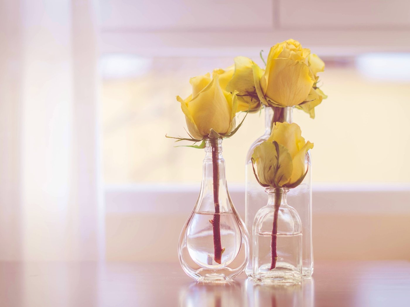 Обои бутоны, стиль, розы, бутылочки, жёлтые розы, buds, style, roses, bottle, yellow roses разрешение 4918x3257 Загрузить
