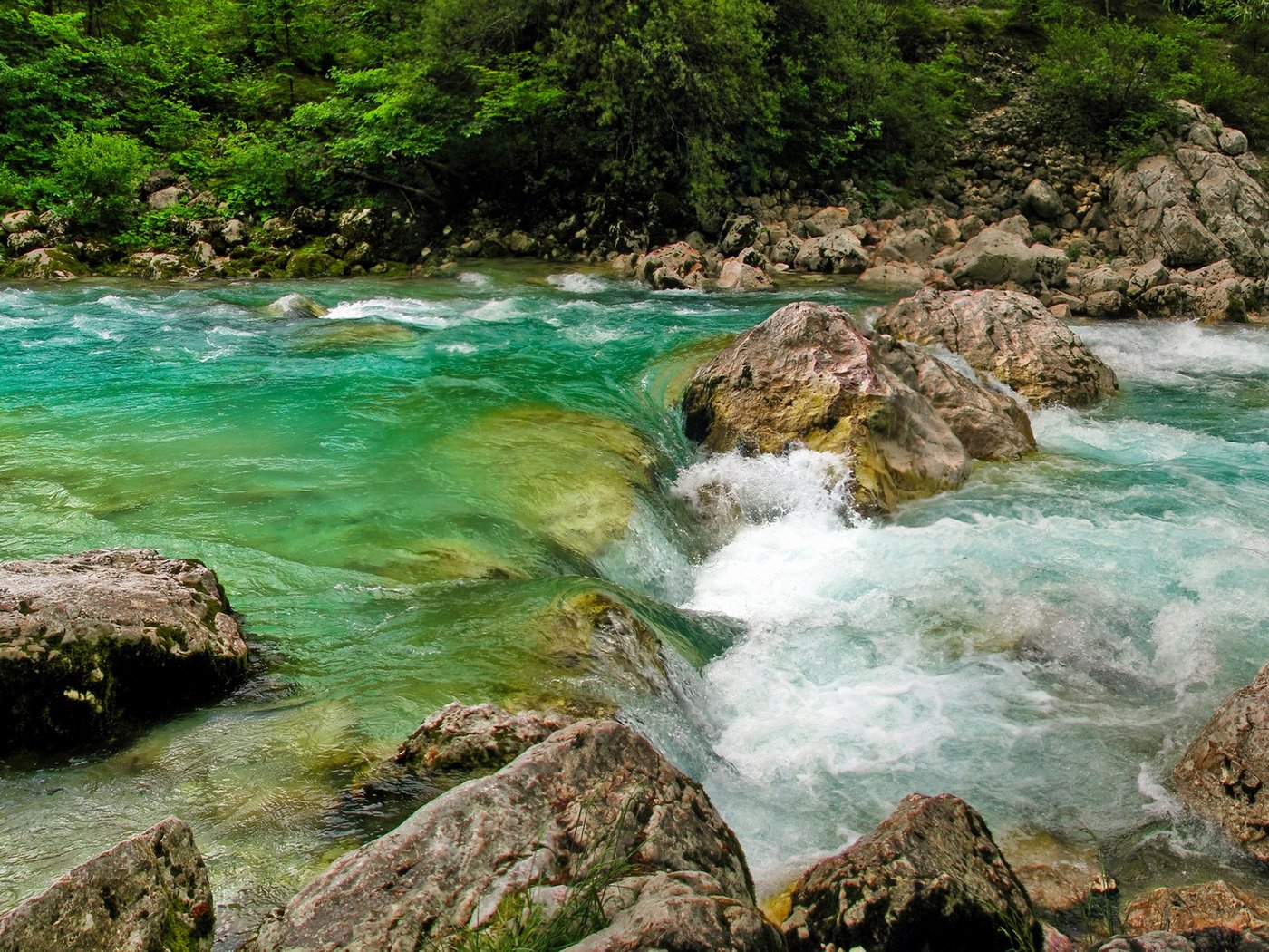 Обои река, камни, пороги, течение, словения, растиьельность, river, stones, thresholds, for, slovenia, rastitelnosti разрешение 2560x1600 Загрузить