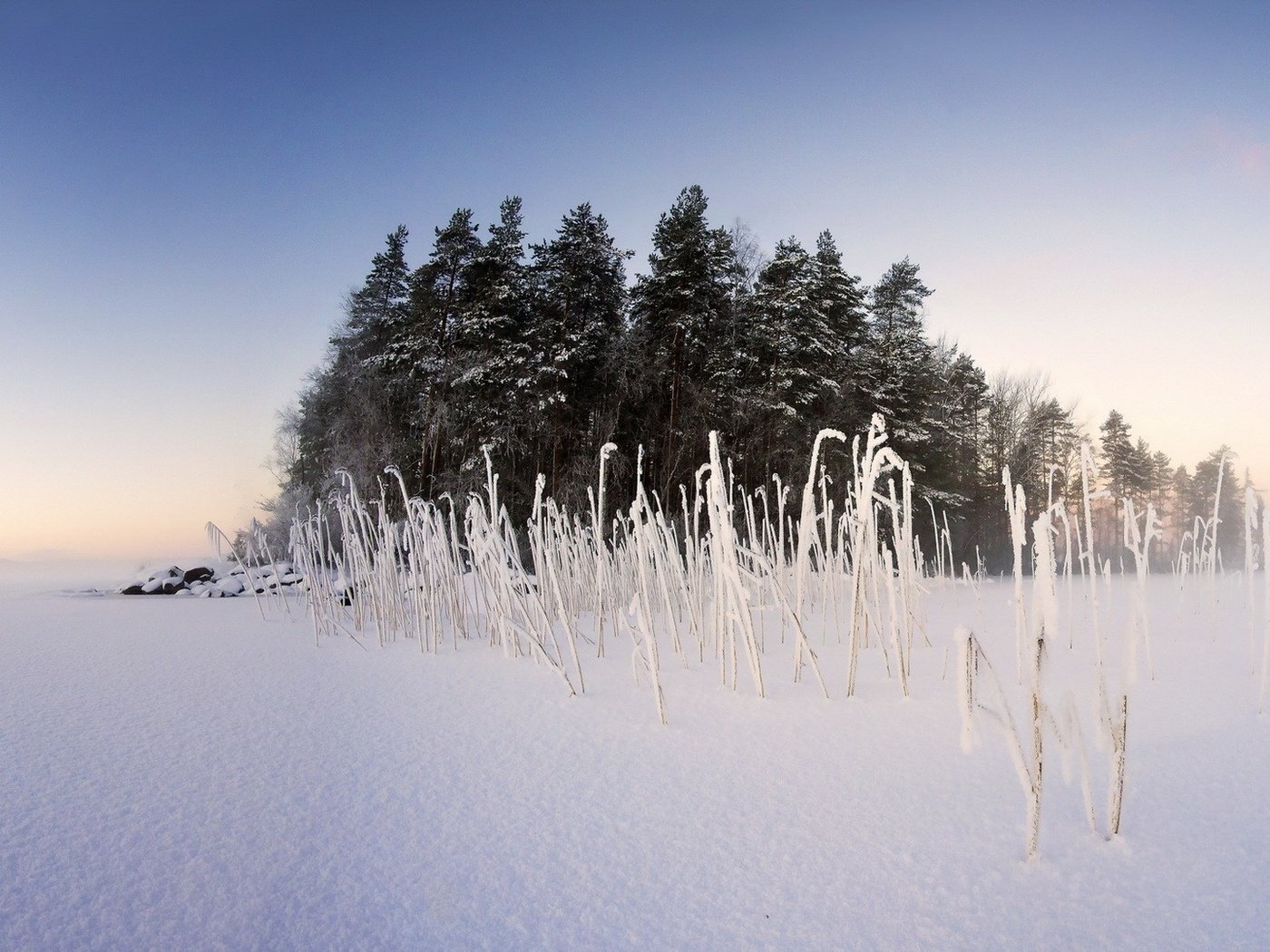 Обои небо, деревья, снег, природа, растения, зима, пейзаж, туман, the sky, trees, snow, nature, plants, winter, landscape, fog разрешение 1920x1080 Загрузить