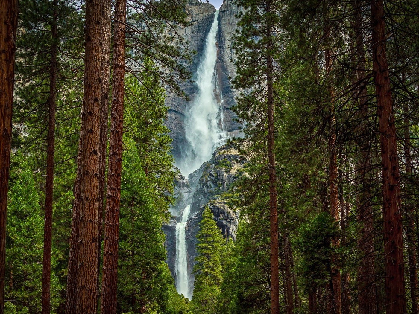 Обои деревья, лес, скала, гора, водопад, йосемите, trees, forest, rock, mountain, waterfall, yosemite разрешение 2048x1290 Загрузить