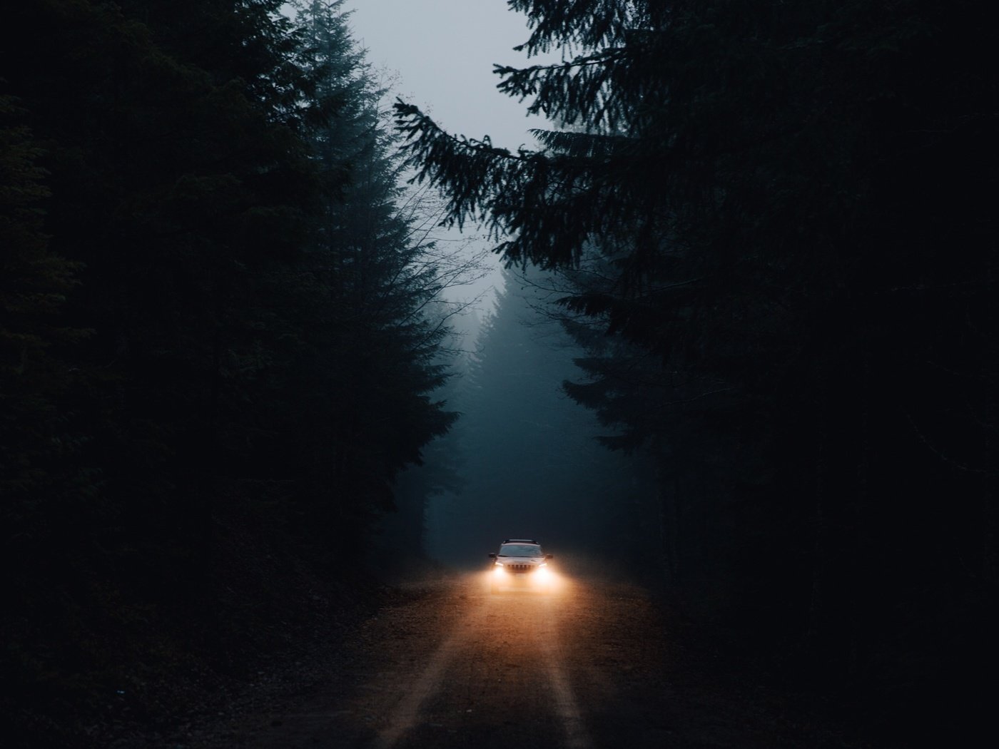 Обои свет, дорога, лес, машина, темнота, фары, light, road, forest, machine, darkness, lights разрешение 2048x1365 Загрузить