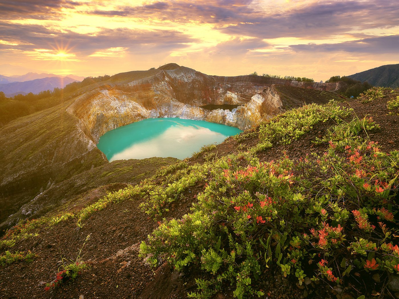 Обои цветы, озеро, горы, природа, индонезия, flowers, lake, mountains, nature, indonesia разрешение 1920x1200 Загрузить