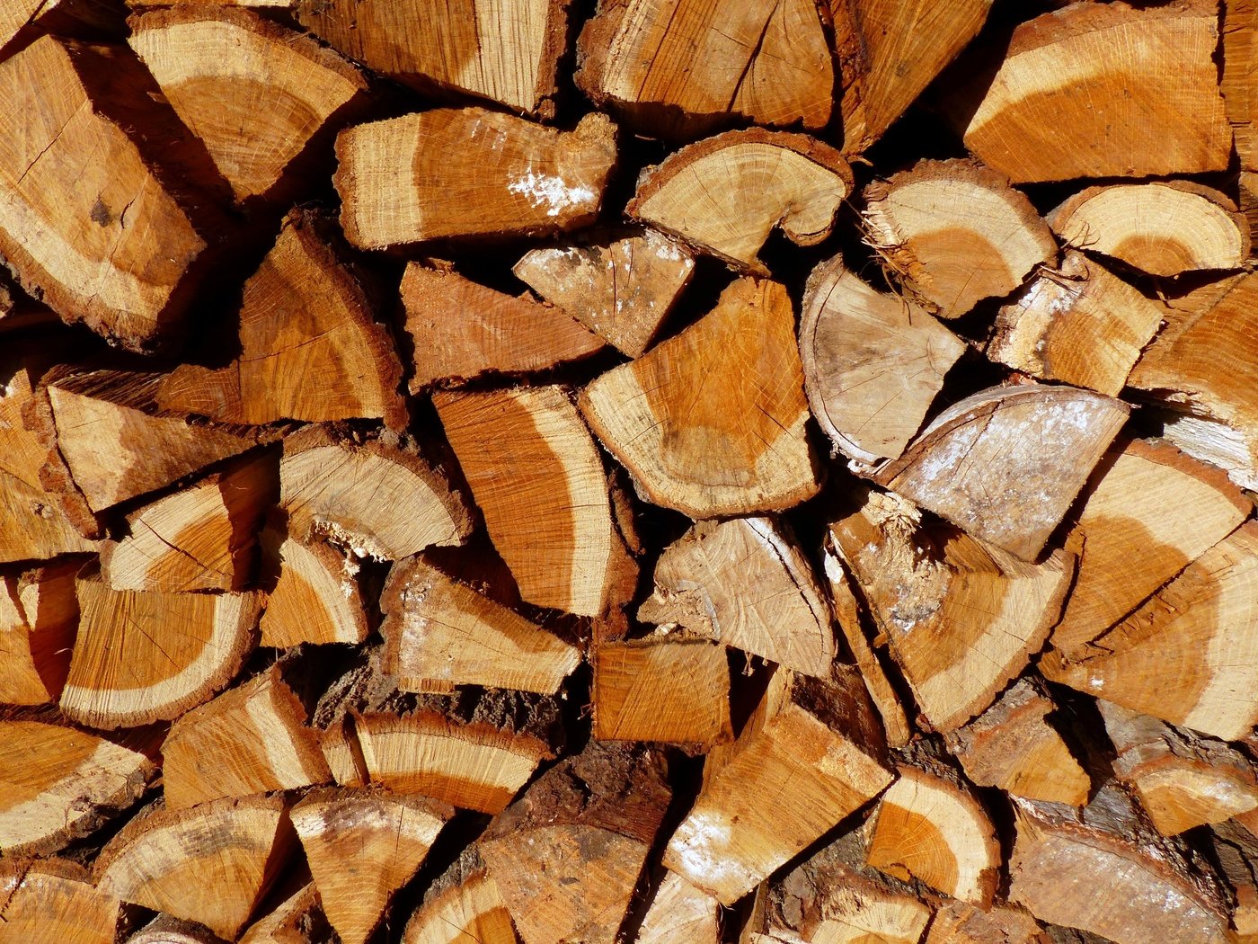 Обои дерево, текстура, фон, дрова, firewoods, лесоматериал, поленница, tree, texture, background, wood, timber разрешение 4000x3000 Загрузить