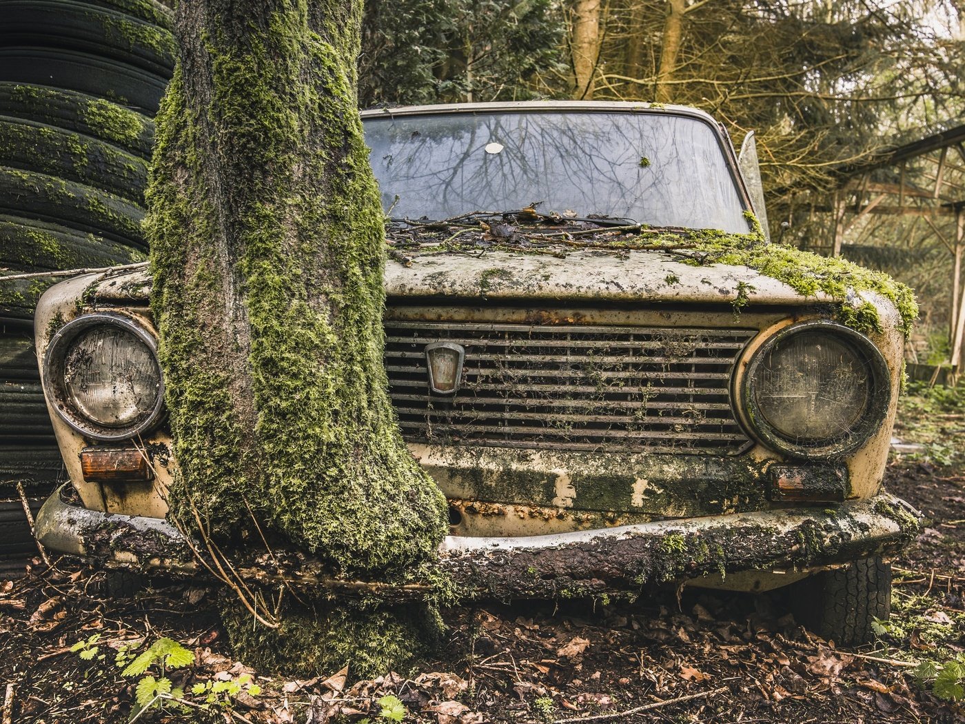 Обои дерево, авто, мох, лом, жигули, tree, auto, moss, scrap, lada разрешение 2048x1367 Загрузить