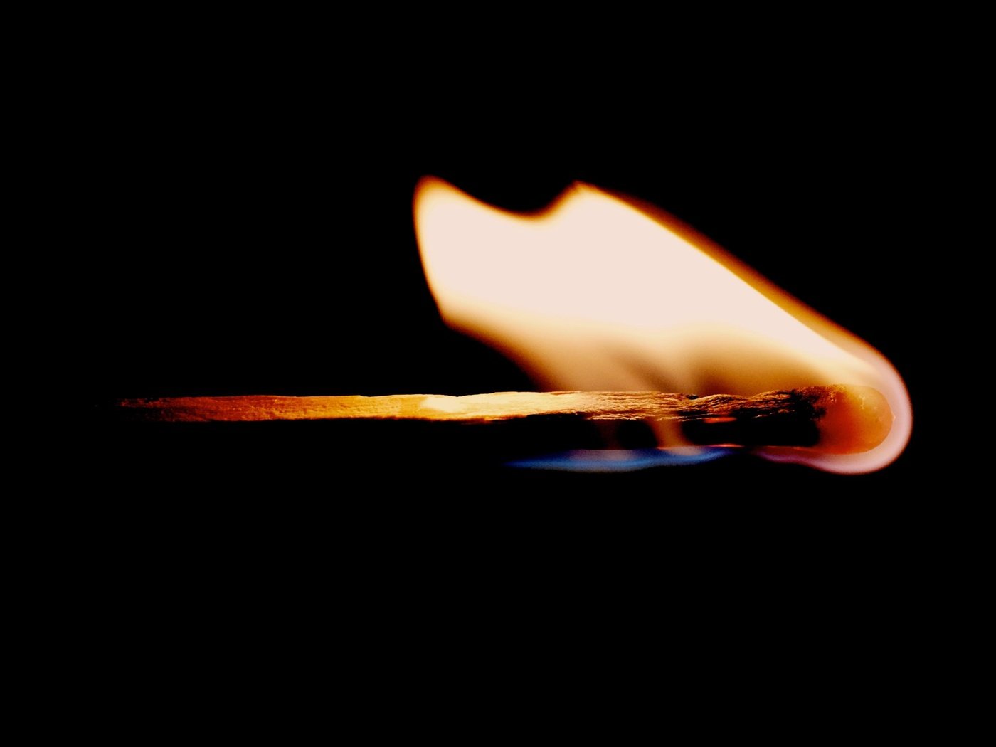 Обои пламя, огонь, черный фон, спичка, flame, fire, black background, match разрешение 3103x2068 Загрузить
