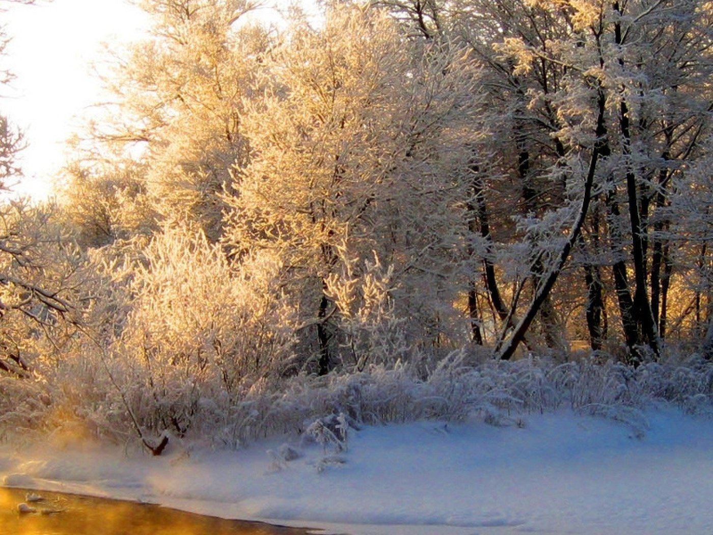 Обои свет, река, лес, зима, отражение, иней, оранжевый, седина, light, river, forest, winter, reflection, frost, orange, gray разрешение 3840x1200 Загрузить