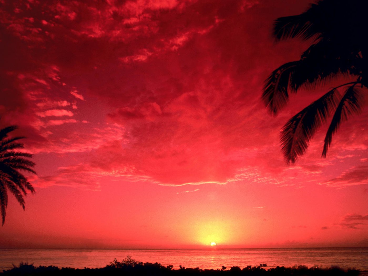 Обои небо, закат, море, горизонт, пальмы, the sky, sunset, sea, horizon, palm trees разрешение 1920x1080 Загрузить