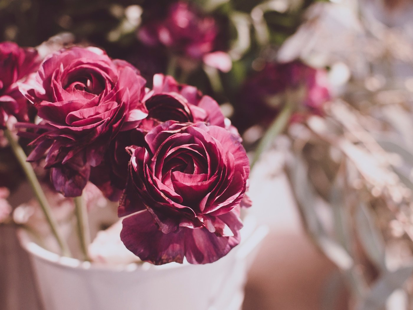 Обои цветы, бутоны, розы, букет, ваза, flowers, buds, roses, bouquet, vase разрешение 4288x2848 Загрузить