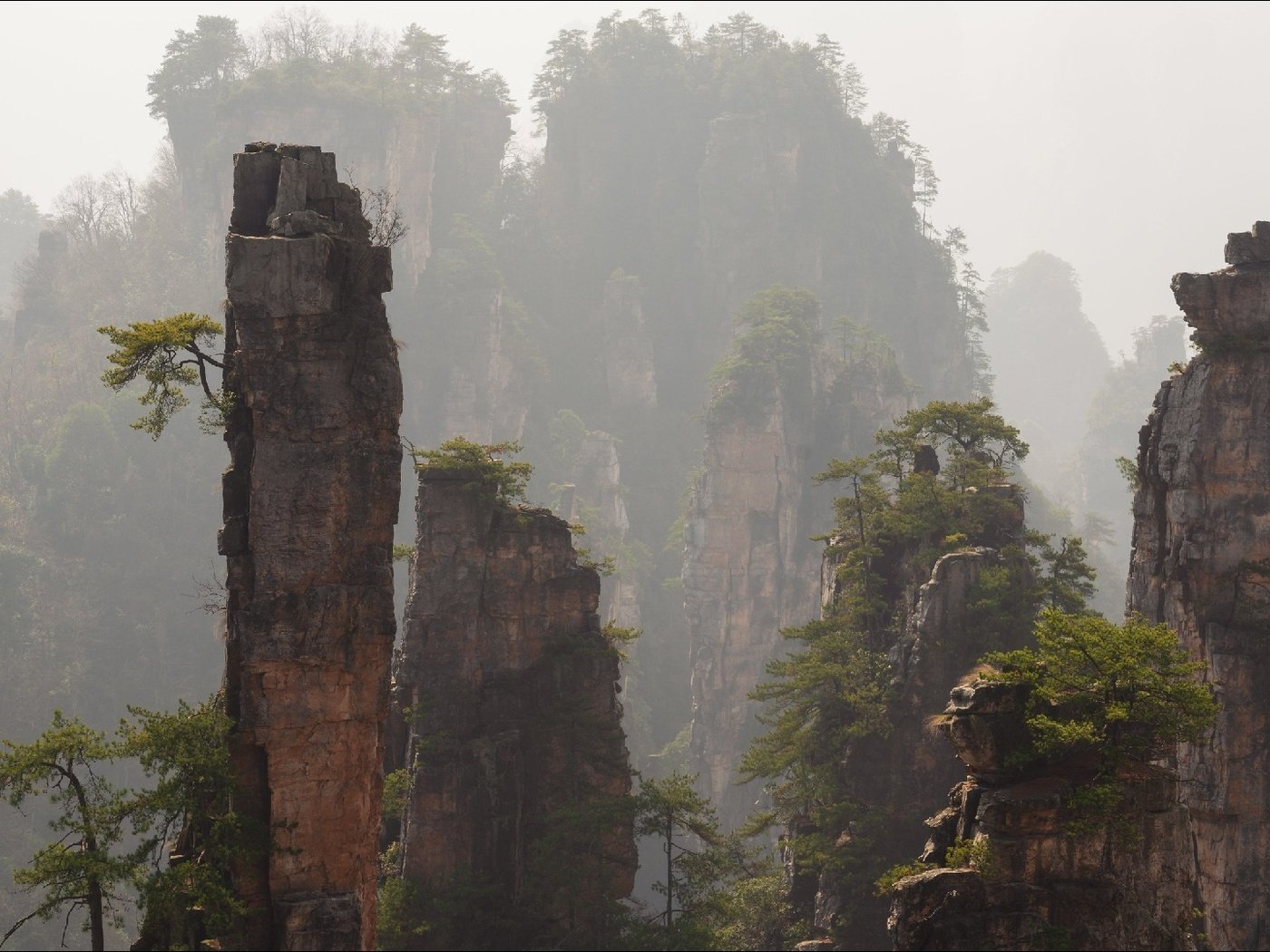 Обои горы, скалы, туман, китай, zhangjiajie national park, mountains, rocks, fog, china разрешение 1920x1080 Загрузить