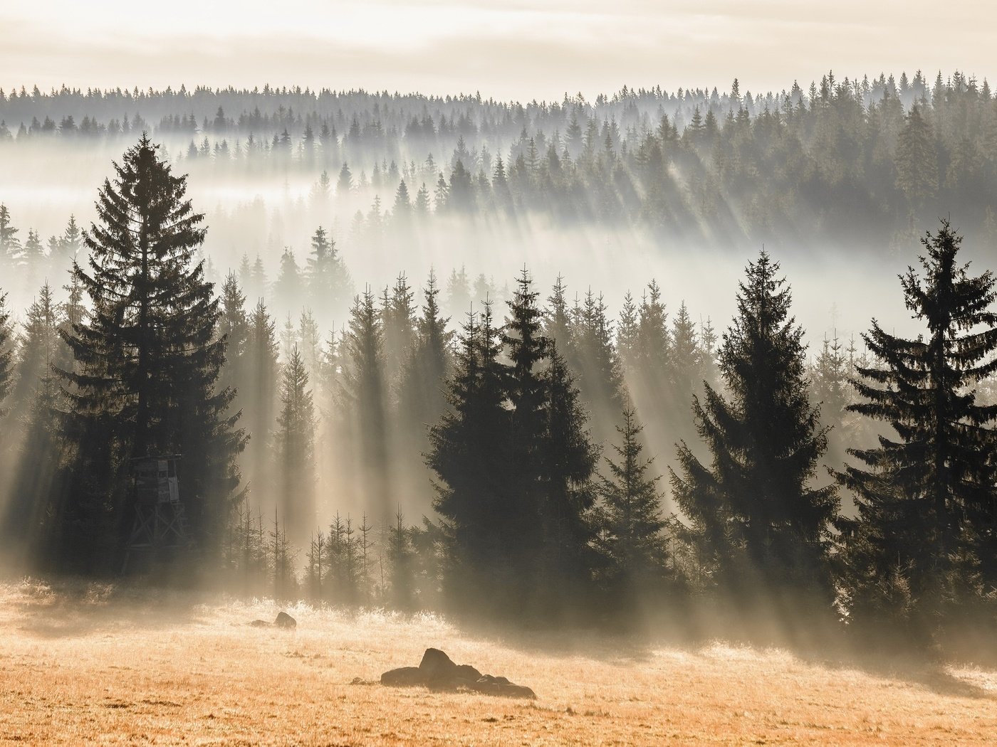 Обои лес, осень, forest, autumn разрешение 2048x1363 Загрузить