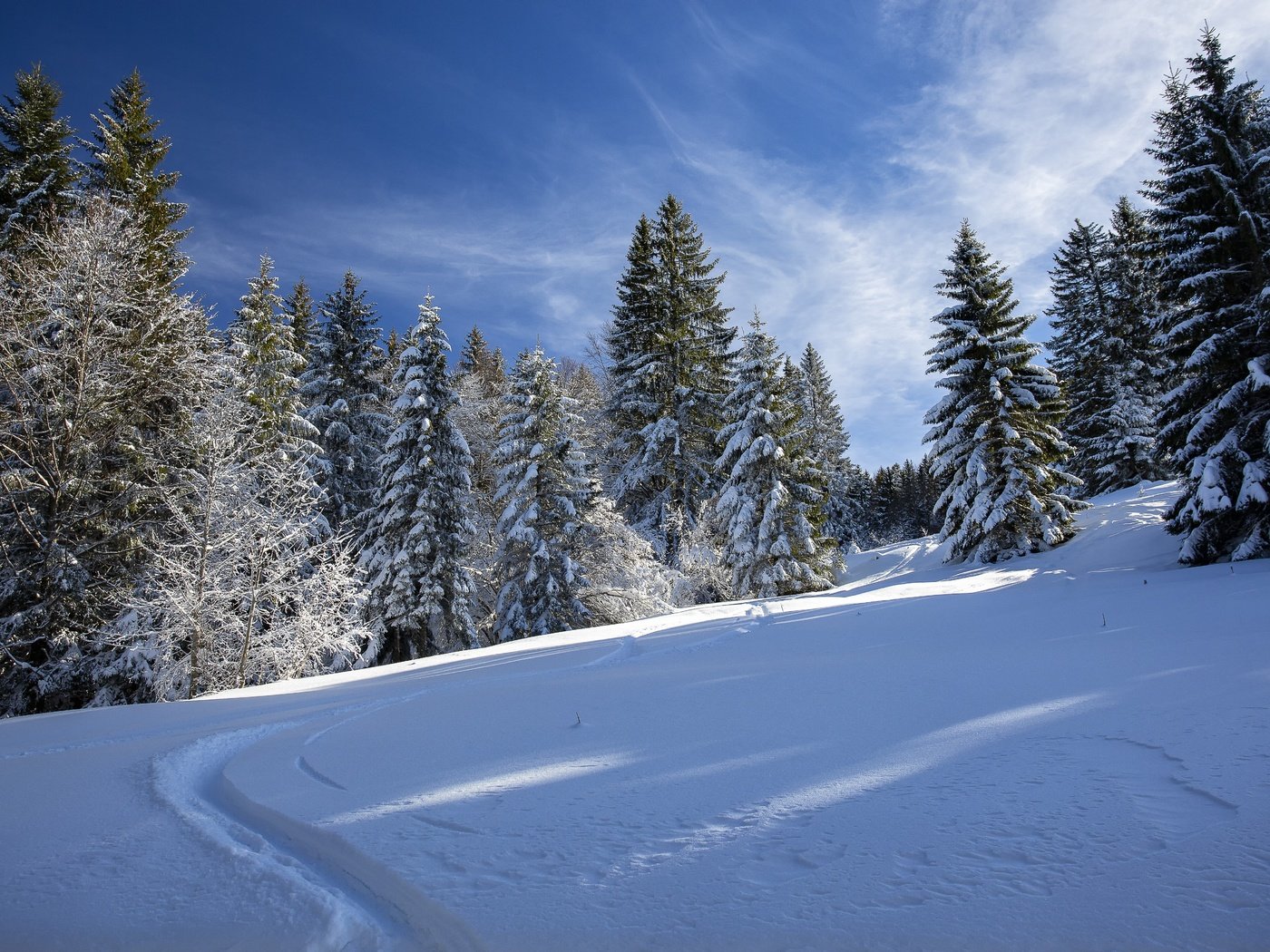 Обои лес, зима, колея, forest, winter, track разрешение 5760x3840 Загрузить